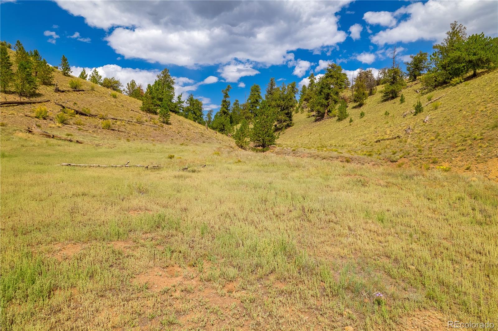 243 June Lane Hartsel, CO 80449 - Photo 21 of 23