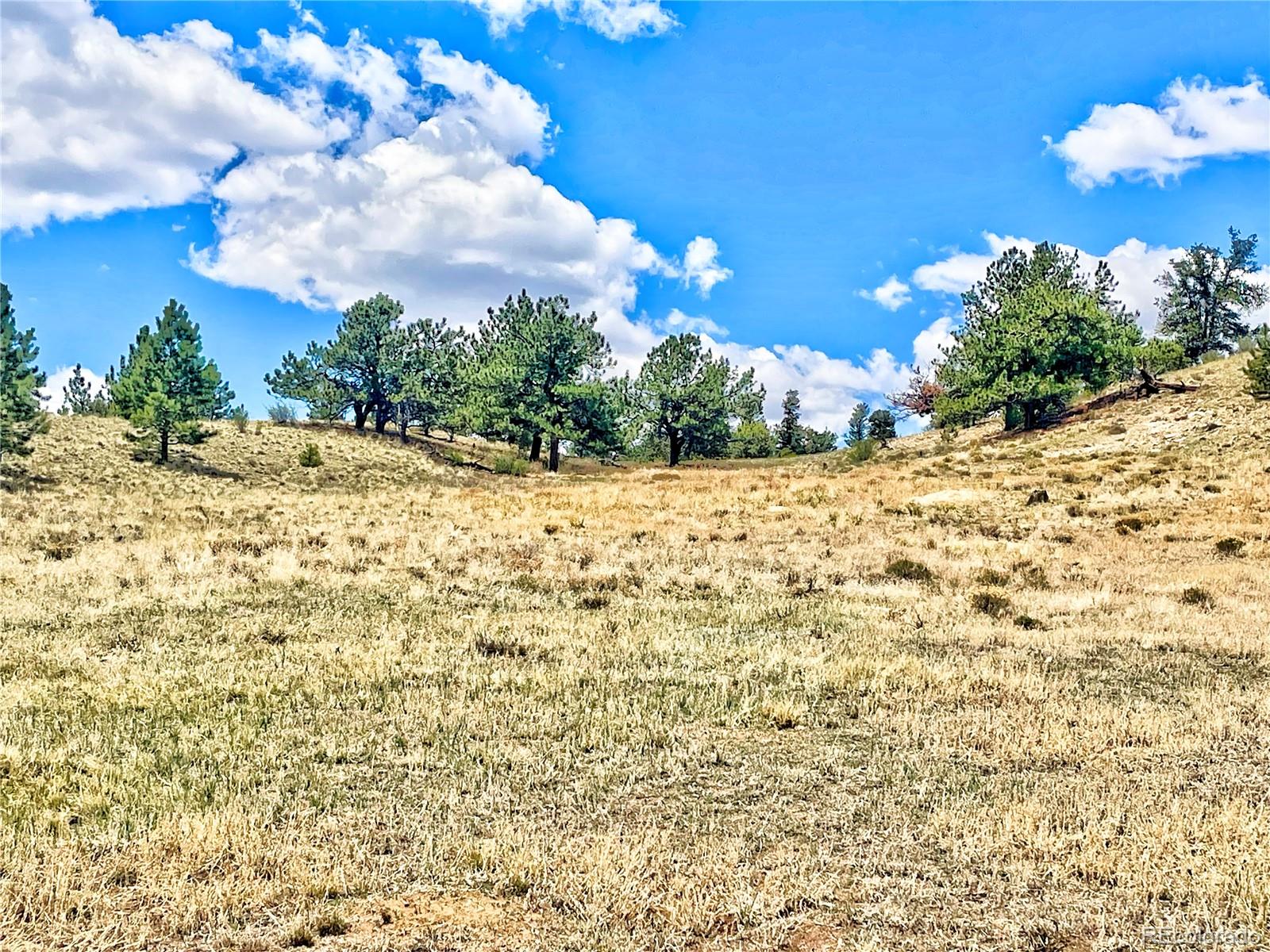 243 June Lane Hartsel, CO 80449 - Photo 4 of 23