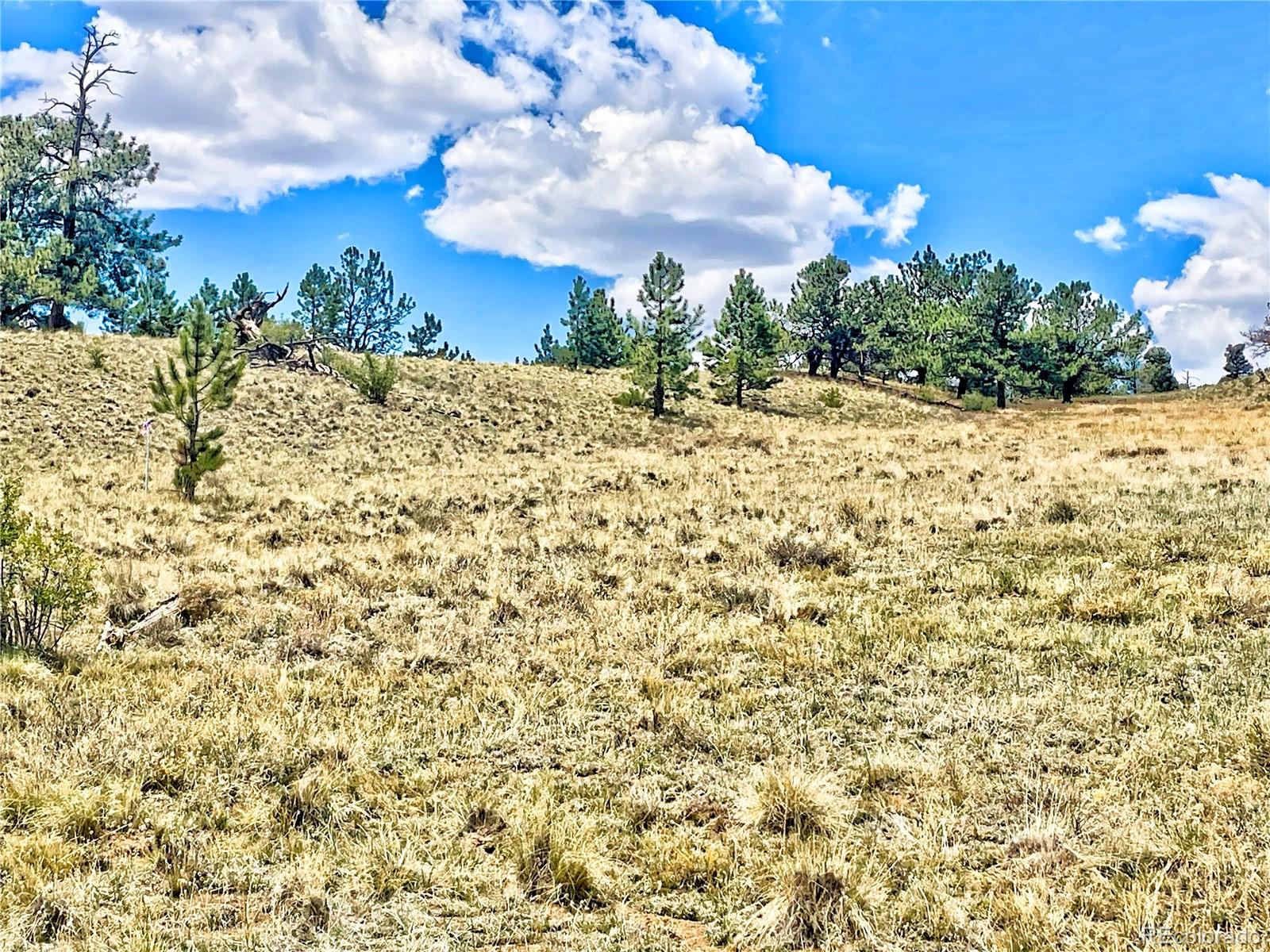 243 June Lane Hartsel, CO 80449 - Photo 5 of 23