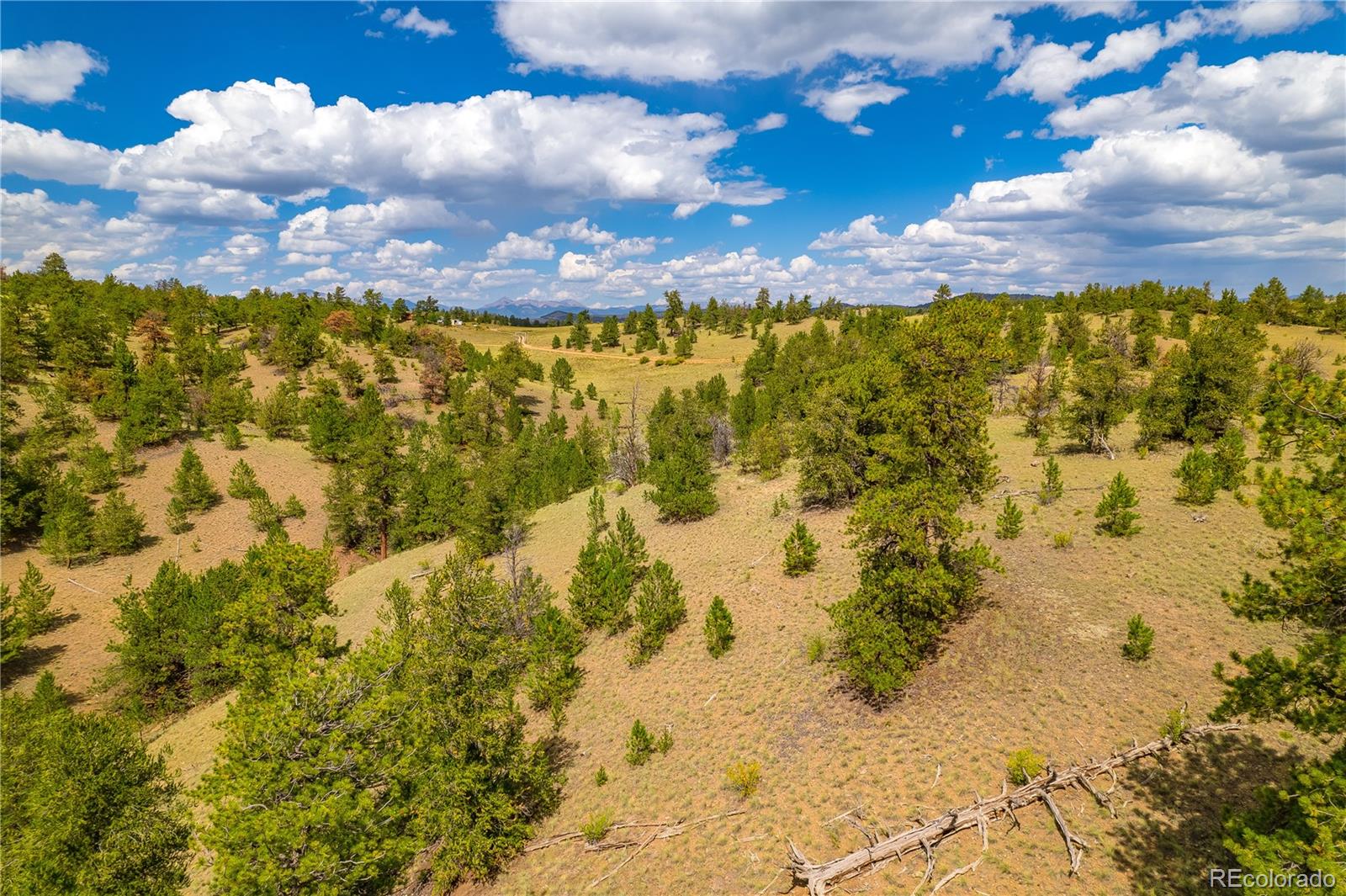 243 June Lane Hartsel, CO 80449 - Photo 7 of 23