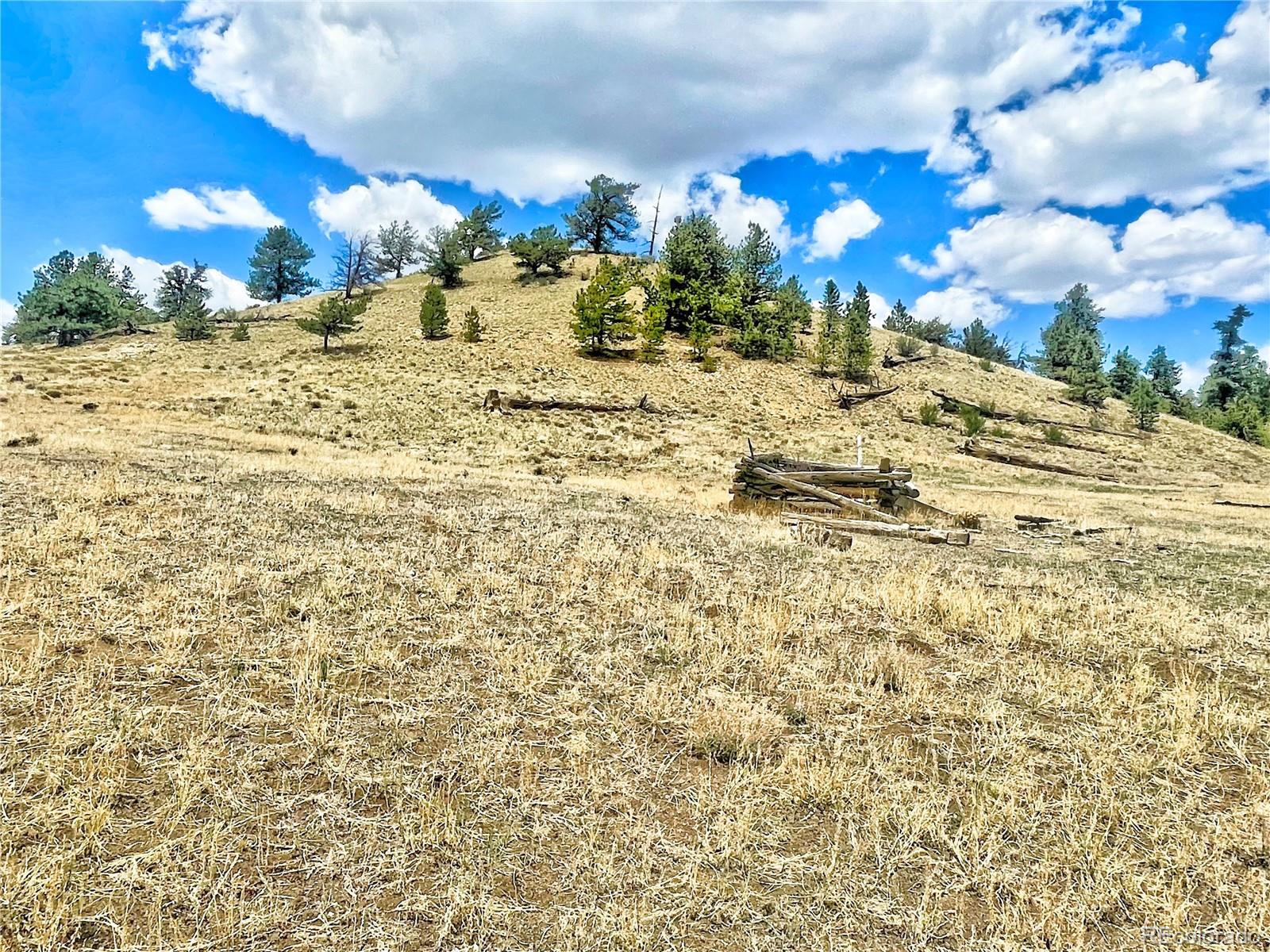 243 June Lane Hartsel, CO 80449 - Photo 8 of 23