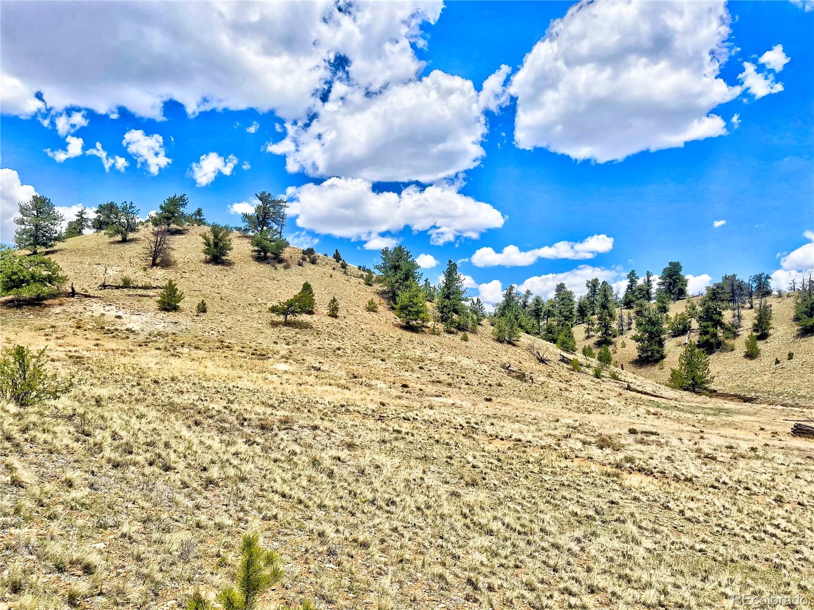 243 June Lane Hartsel, CO 80449 - Photo 9 of 23