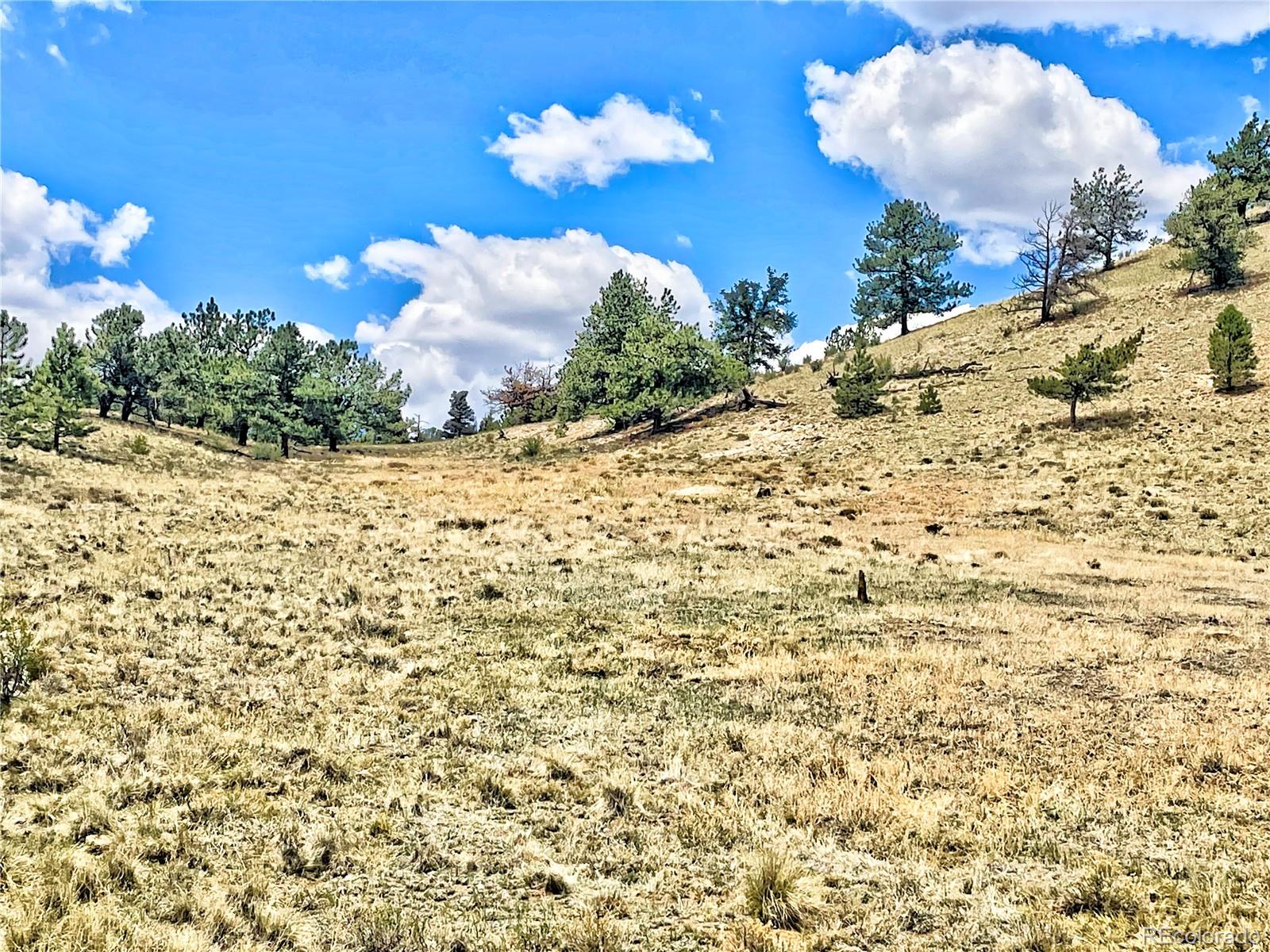 243 June Lane Hartsel, CO 80449 - Photo 10 of 23