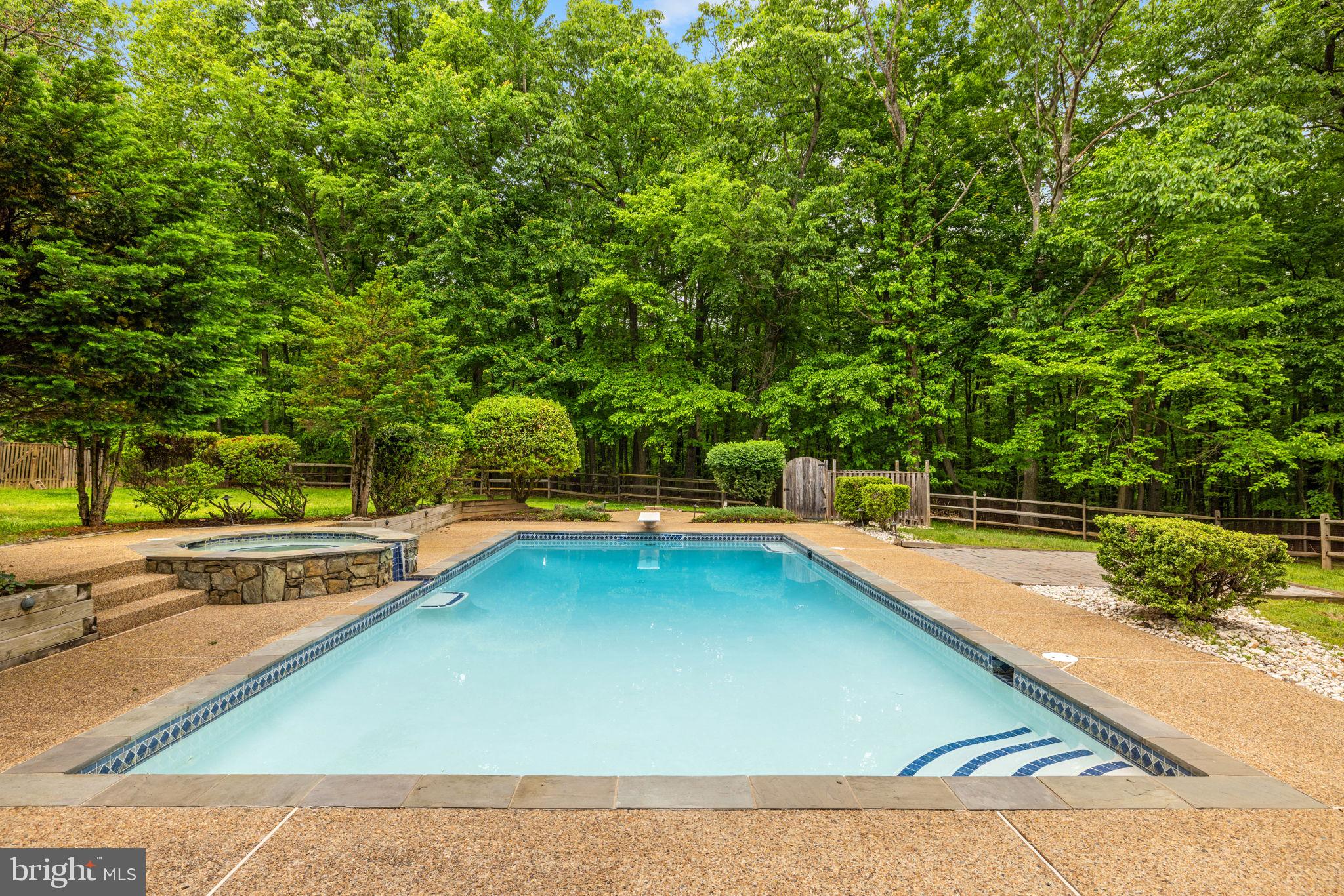 41726 Stumptown Road Leesburg, VA 20176 - Photo 54 of 91 Large Inground Pool with Spa