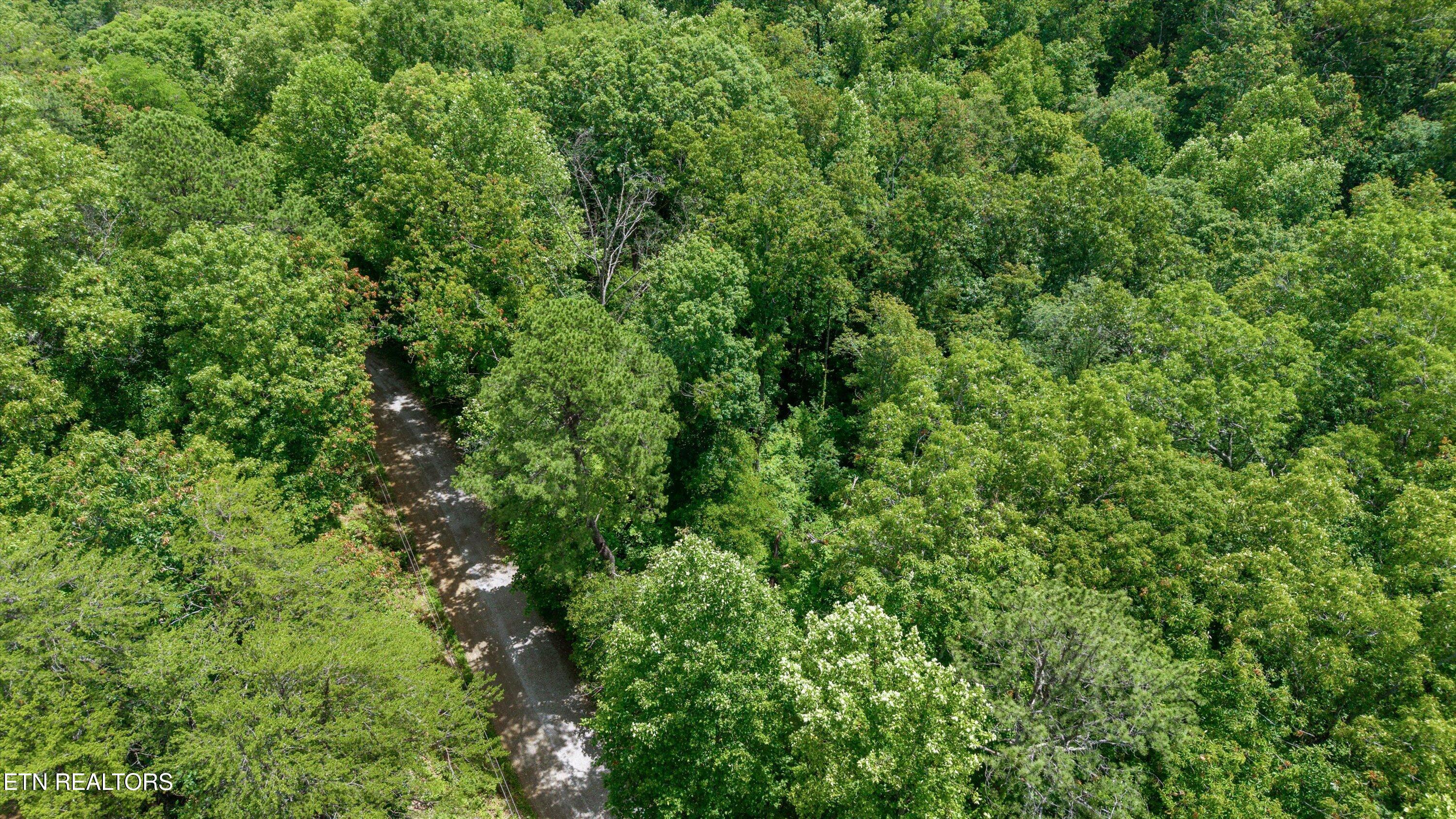 1618 Walnut Flats Road Walland, TN 37886 - Photo 4 of 10 07-1618 Walnut Flats Rd-06