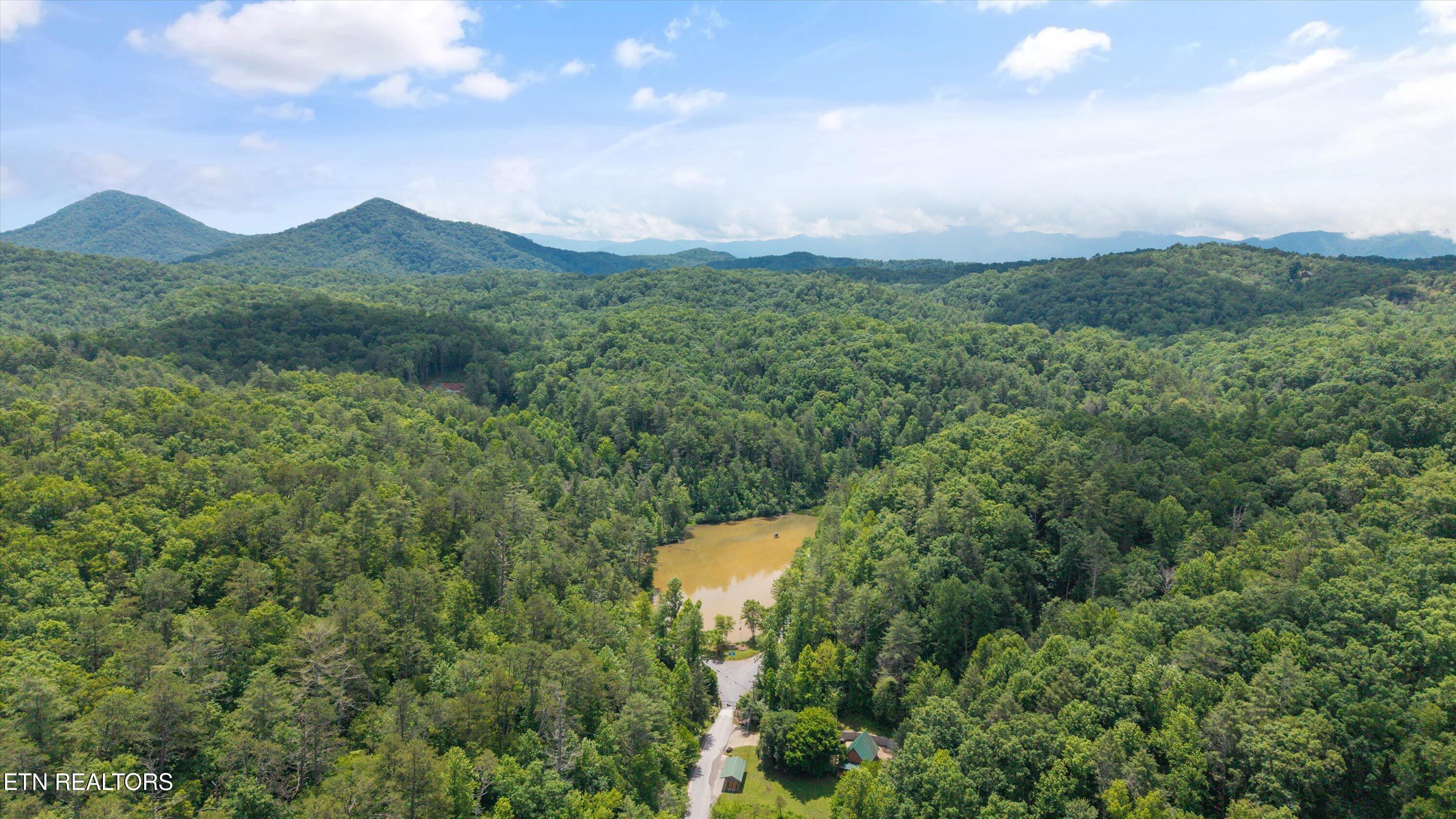 1618 Walnut Flats Road Walland, TN 37886 - Photo 5 of 10 12-1618 Walnut Flats Rd-11