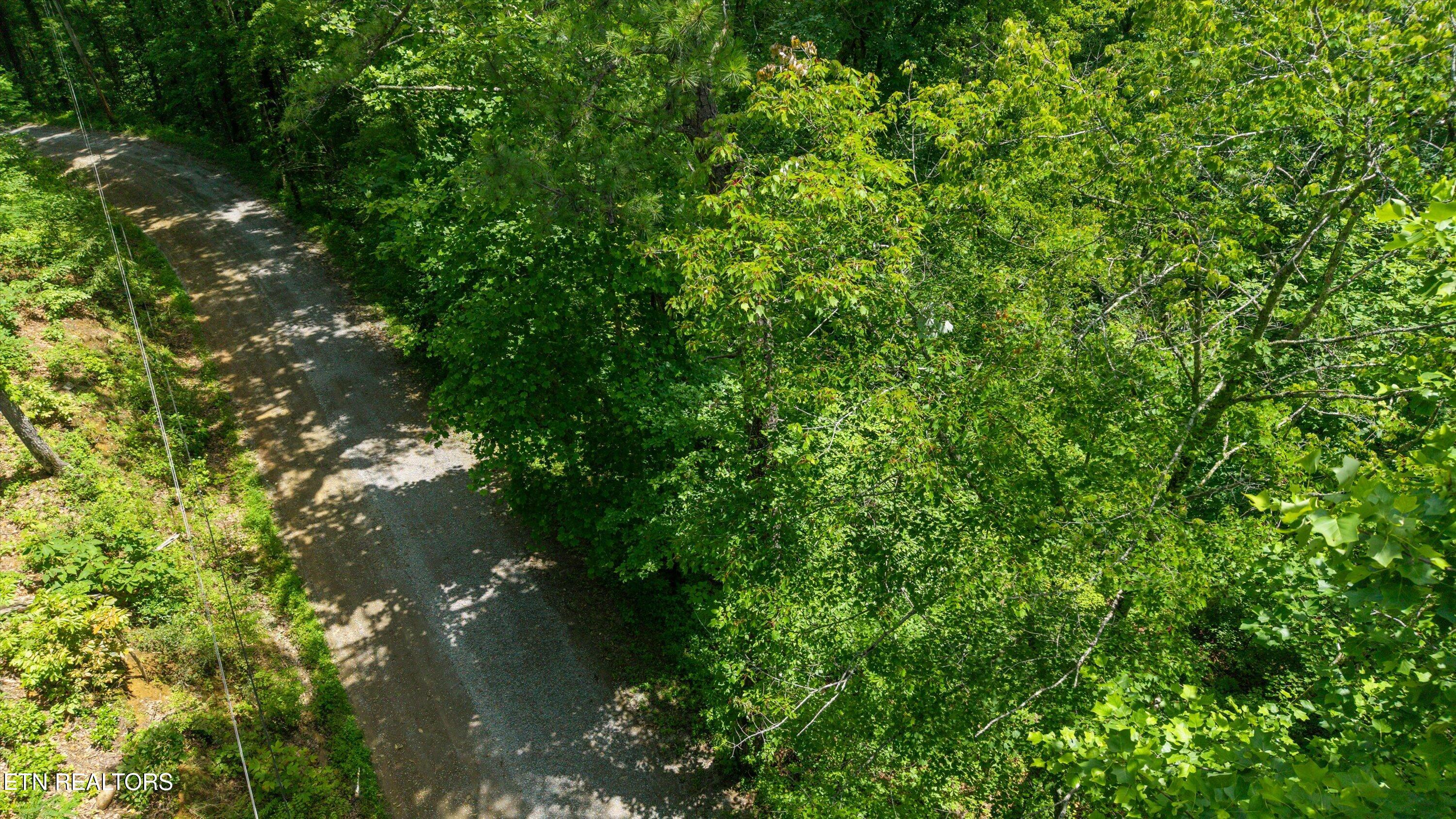 1618 Walnut Flats Road Walland, TN 37886 - Photo 6 of 10 08-1618 Walnut Flats Rd-07