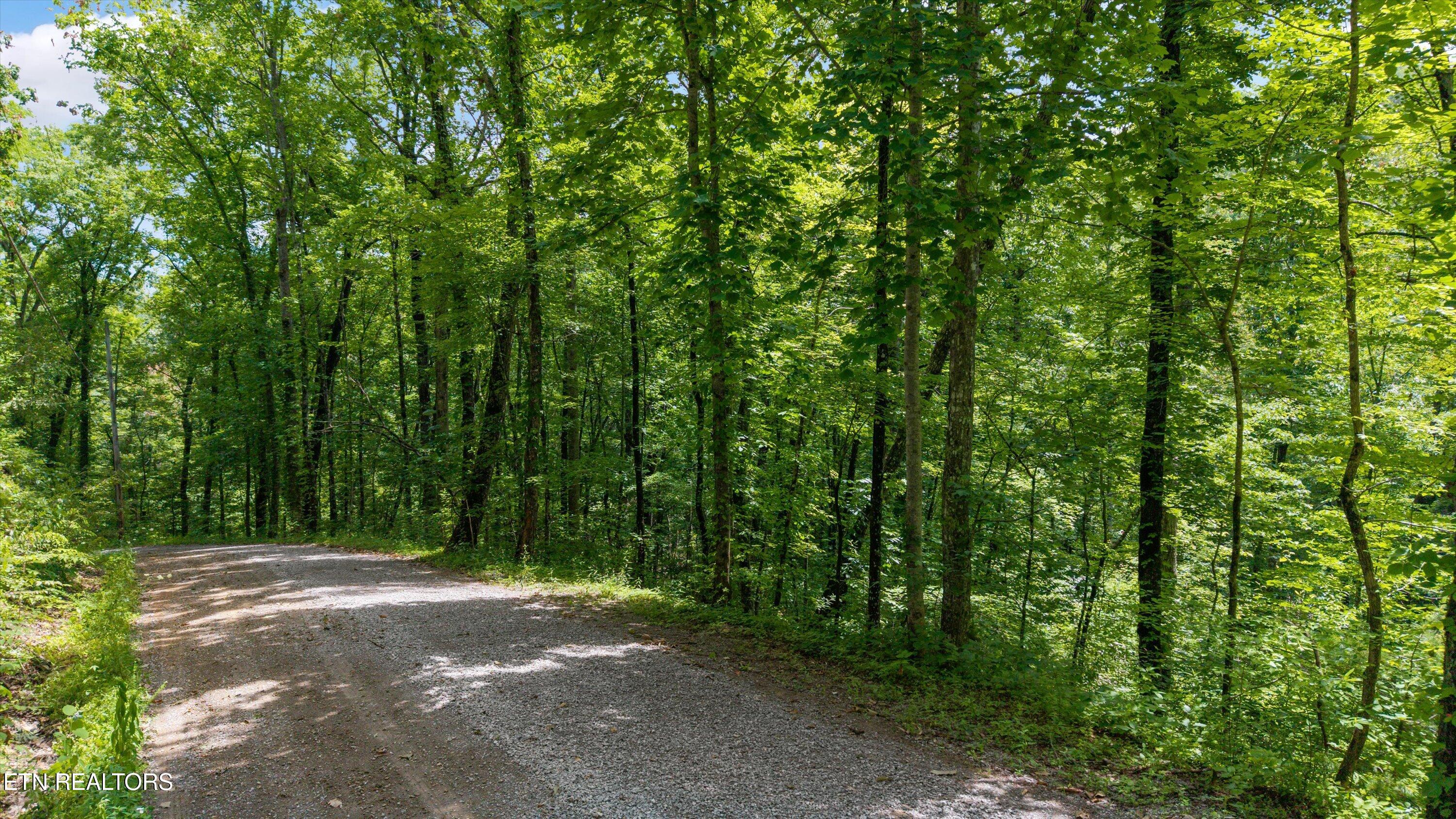 1618 Walnut Flats Road Walland, TN 37886 - Photo 7 of 10 01-1618 Walnut Flats Rd-01