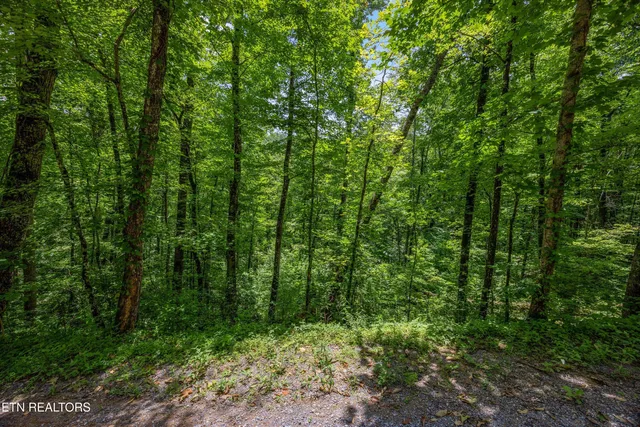 $44,500 | 1618 Walnut Flats Road, Walland, TN 37886