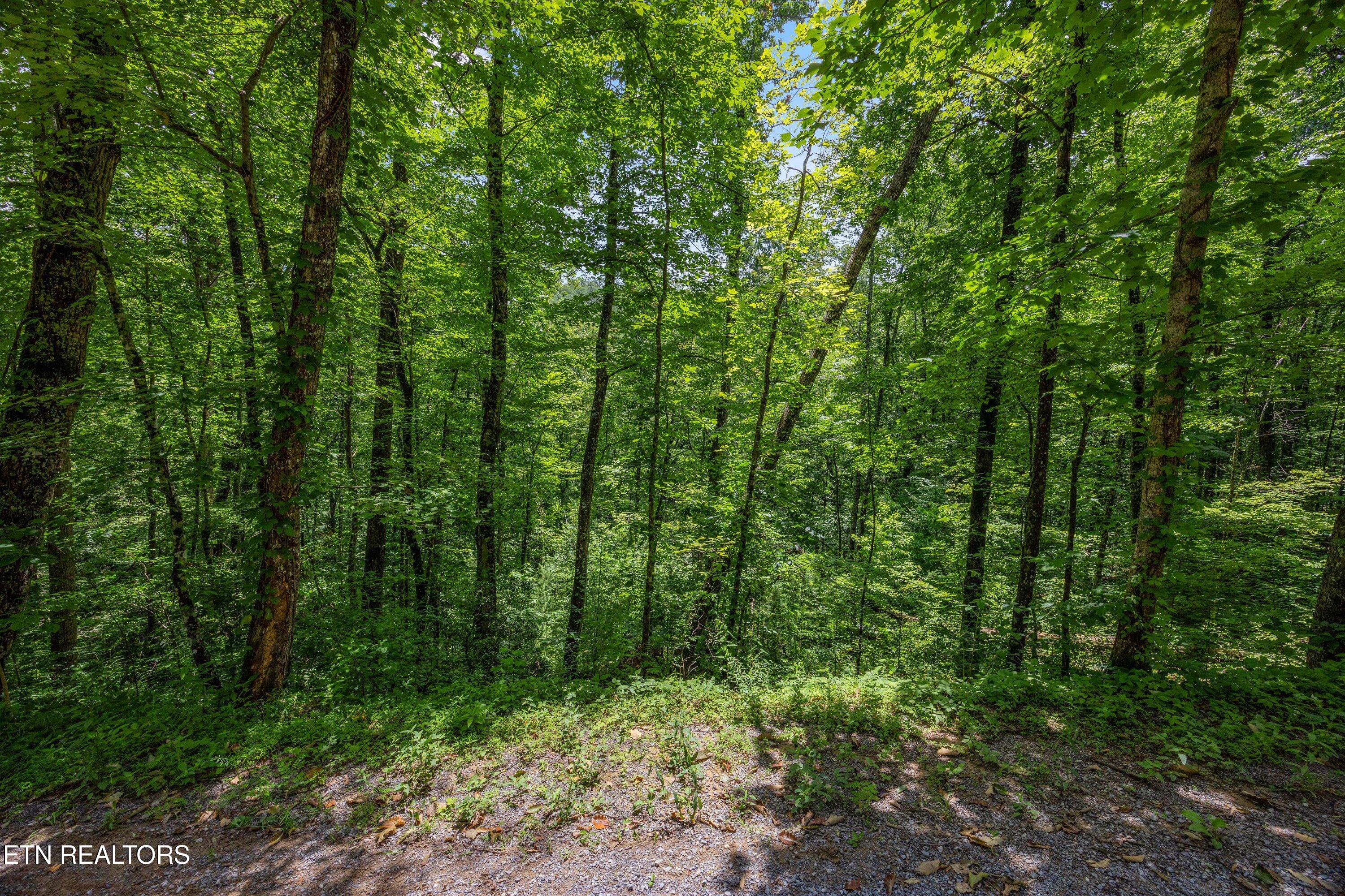 1618 Walnut Flats Road Walland, TN 37886 - Photo 10 of 10 11-1618 Walnut Flats Rd-10