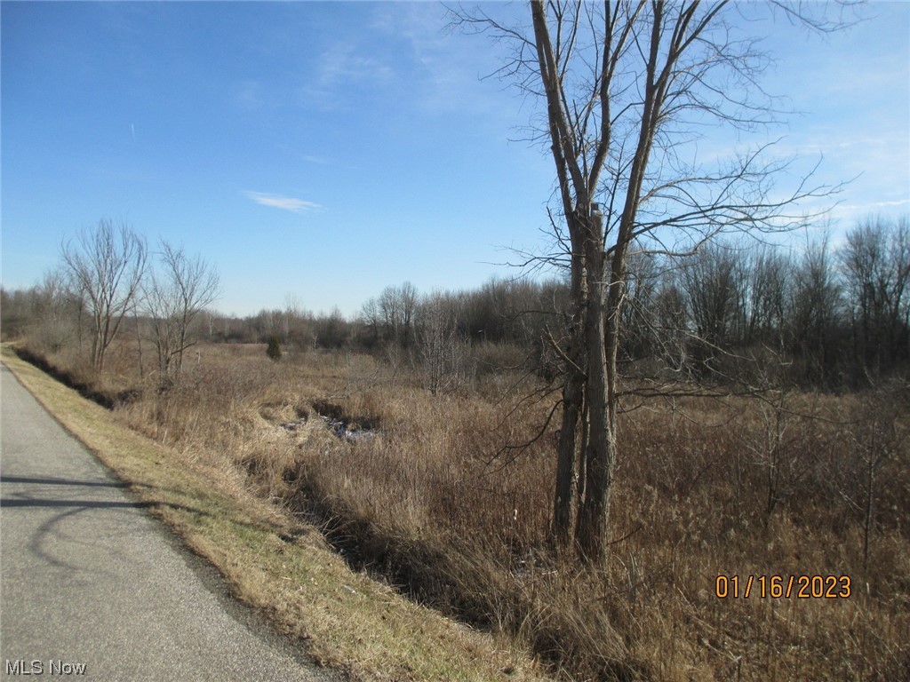 Risher Road Leavittsburg, OH 44430 - Photo 1 of 1 Gallery Image 1