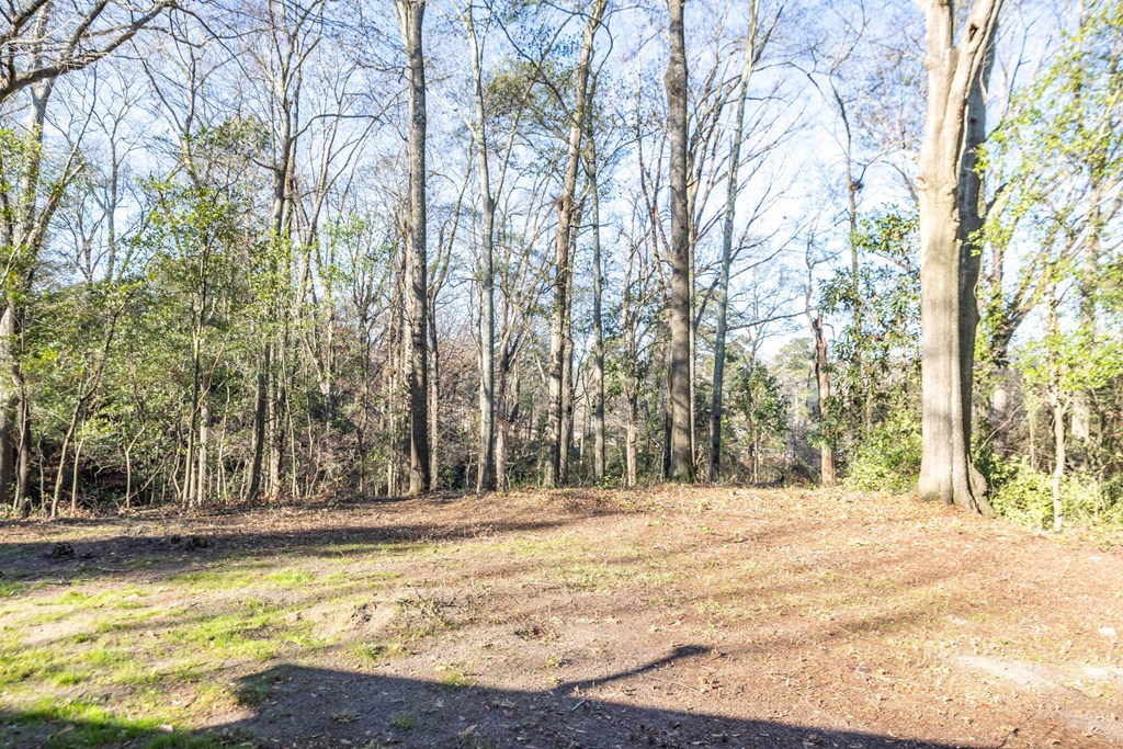 5100 Buckingham Court Columbus, GA 31907 - Photo 24 of 24 a view of swimming pool with large trees