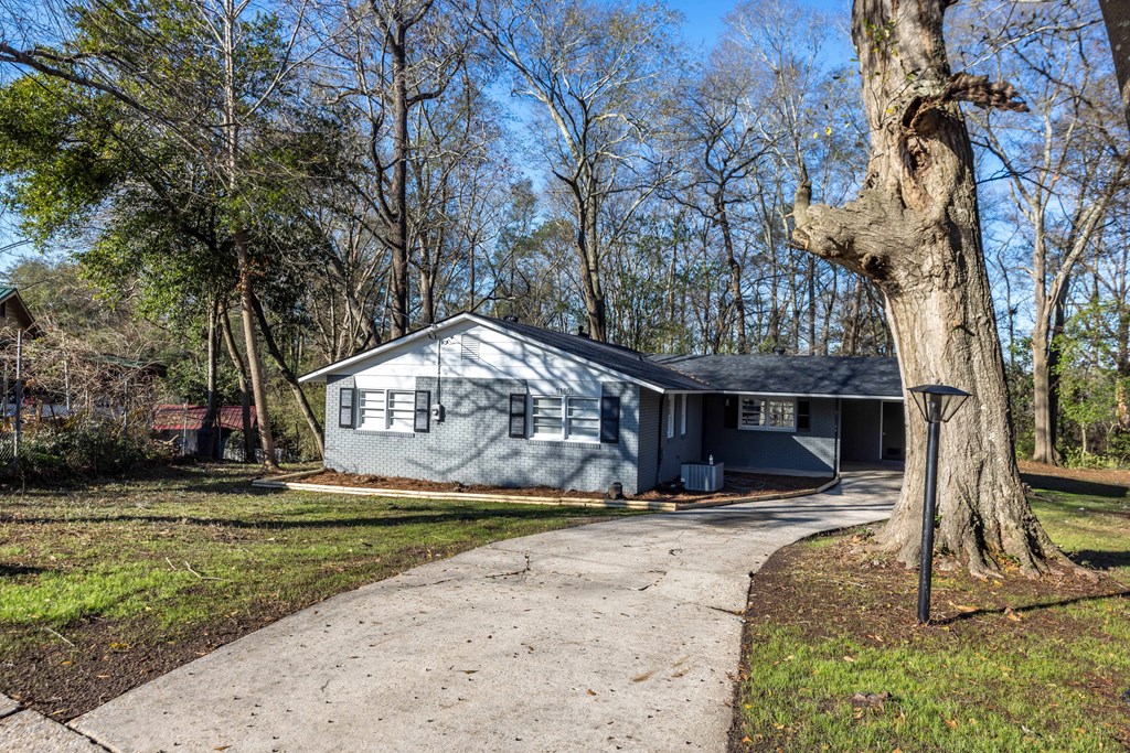 5100 Buckingham Court Columbus, GA 31907 - Photo 3 of 24 a view of a park with pathway
