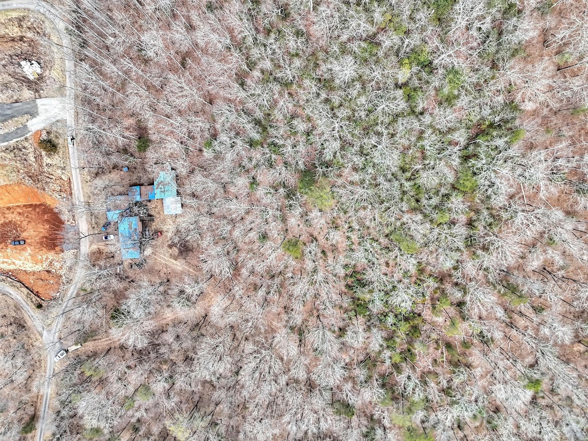 Tbd Black Mountain Road, Unit LOT 12 Cullowhee, NC 28723 - Photo 10 of 10