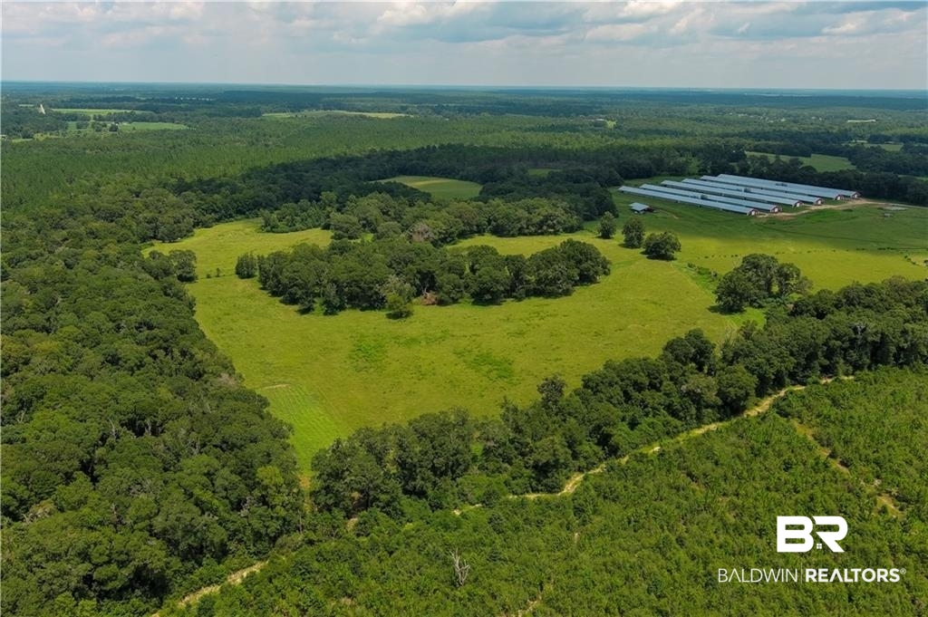 0 Circle R Farm Drive Florala, AL 36442 - Photo 2 of 25