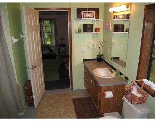 486 Cook Road Carmel, ME 04419 - Photo 8 of 18 Master Bath/Spa.