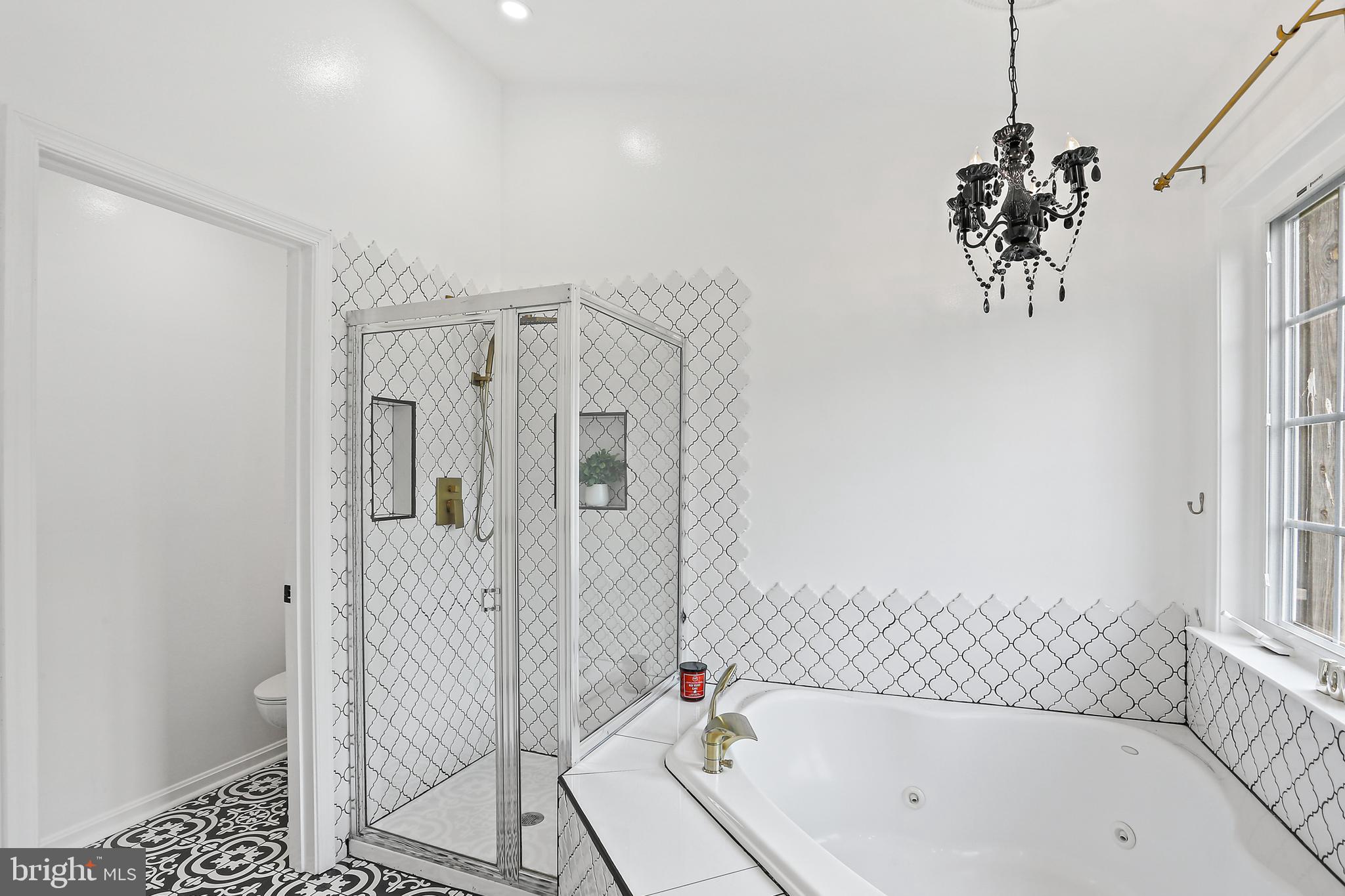 11044 Birchtree Lane, Unit 26 Laurel, MD 20723 - Photo 23 of 37 Owner's Bath