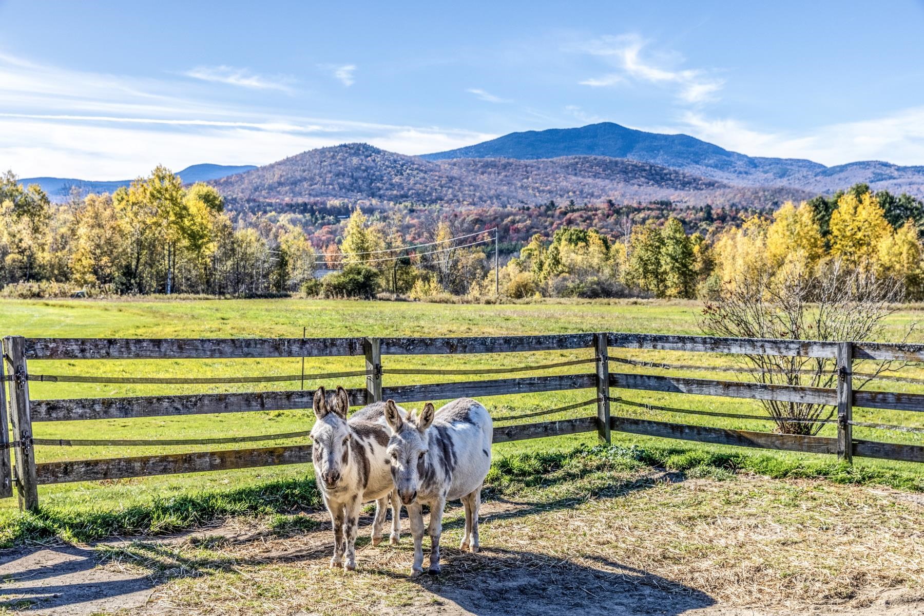 2148 Cote Hill Road Morristown, VT 05661 - Photo 49 of 53