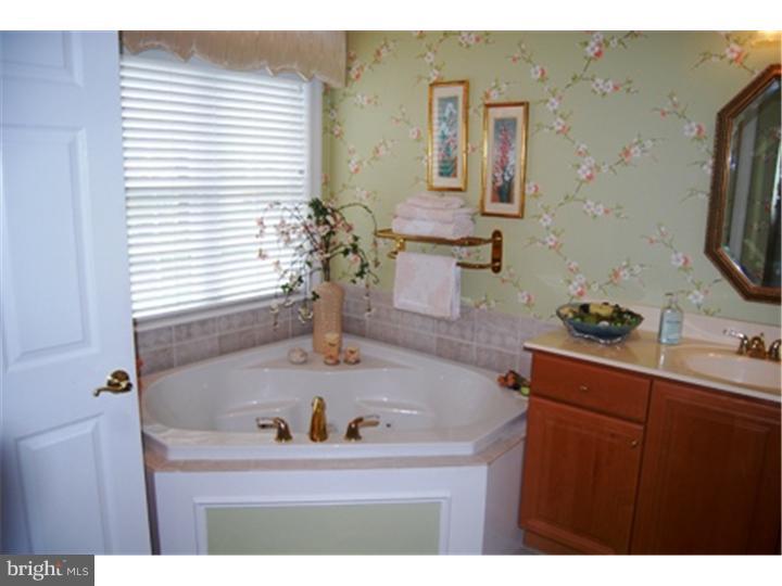 201 Bobwhite Road New Hope, PA 18938 - Photo 11 of 22 Master Bathroom