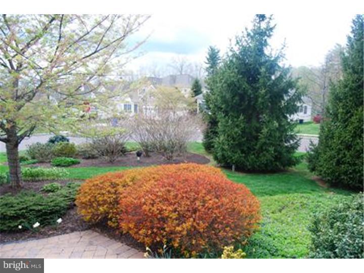 201 Bobwhite Road New Hope, PA 18938 - Photo 18 of 22 View in Back
