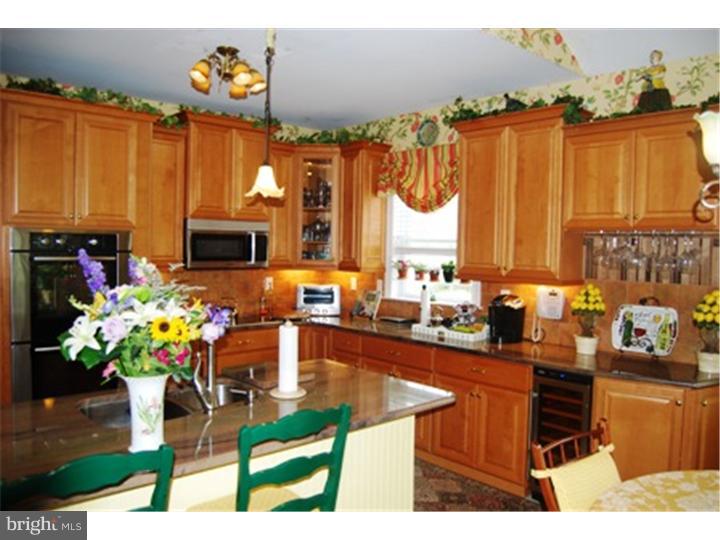 201 Bobwhite Road New Hope, PA 18938 - Photo 5 of 22 Kitchen