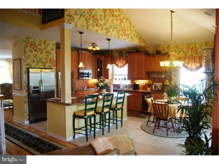 201 Bobwhite Road New Hope, PA 18938 - Photo 6 of 22 Kitchen