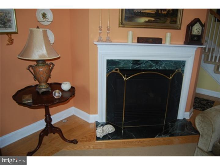 201 Bobwhite Road New Hope, PA 18938 - Photo 9 of 22 Fireplace
