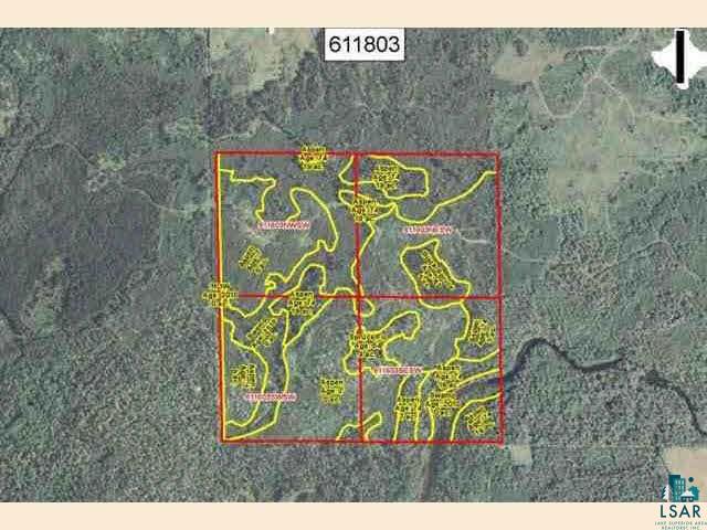 Tbd Angora Road Angora, MN 55703 - Photo 2 of 2