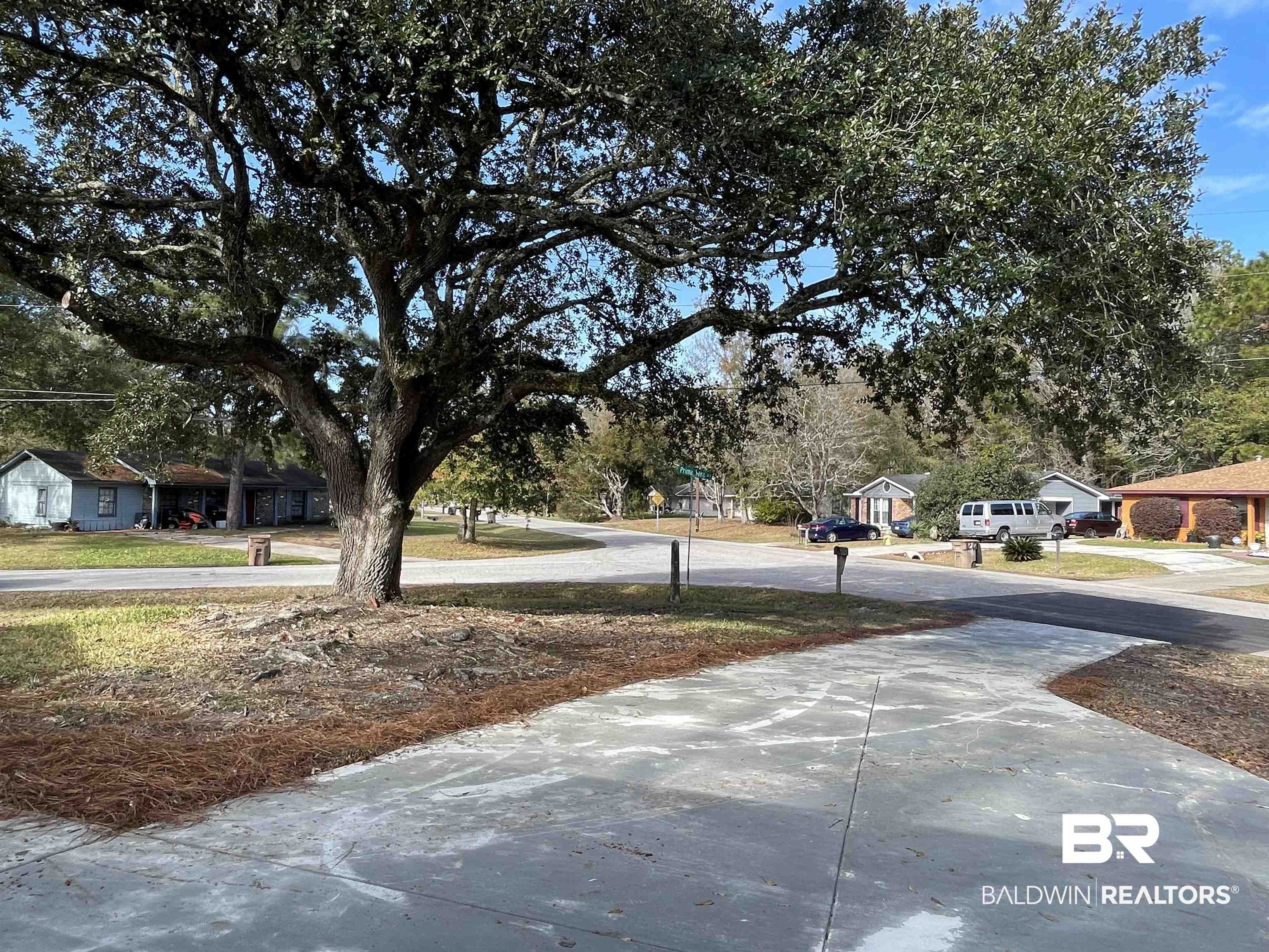 3901 Prima Vera Lane Mobile, AL 36605 - Photo 15 of 15 View of street