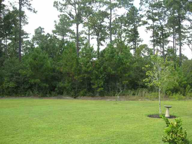 326 Simplicity Drive Murrells Inlet, SC 29576 - Photo 14 of 15