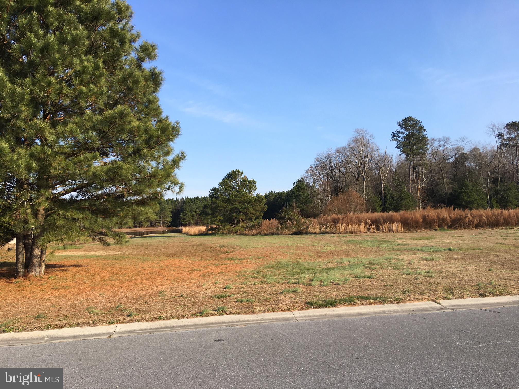 Lot 7 Morgans Ridge Drive Delmar, MD 21875 - Photo 2 of 5 view across the street