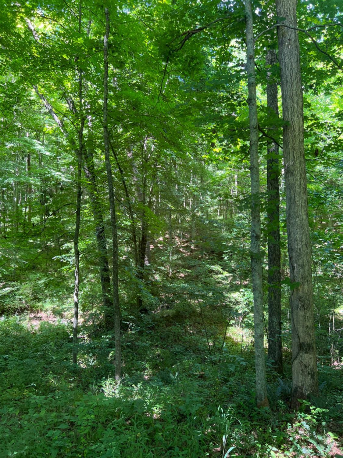 0 Bucklick Road Jackson, OH 45640 - Photo 45 of 50 Gallery Image 45