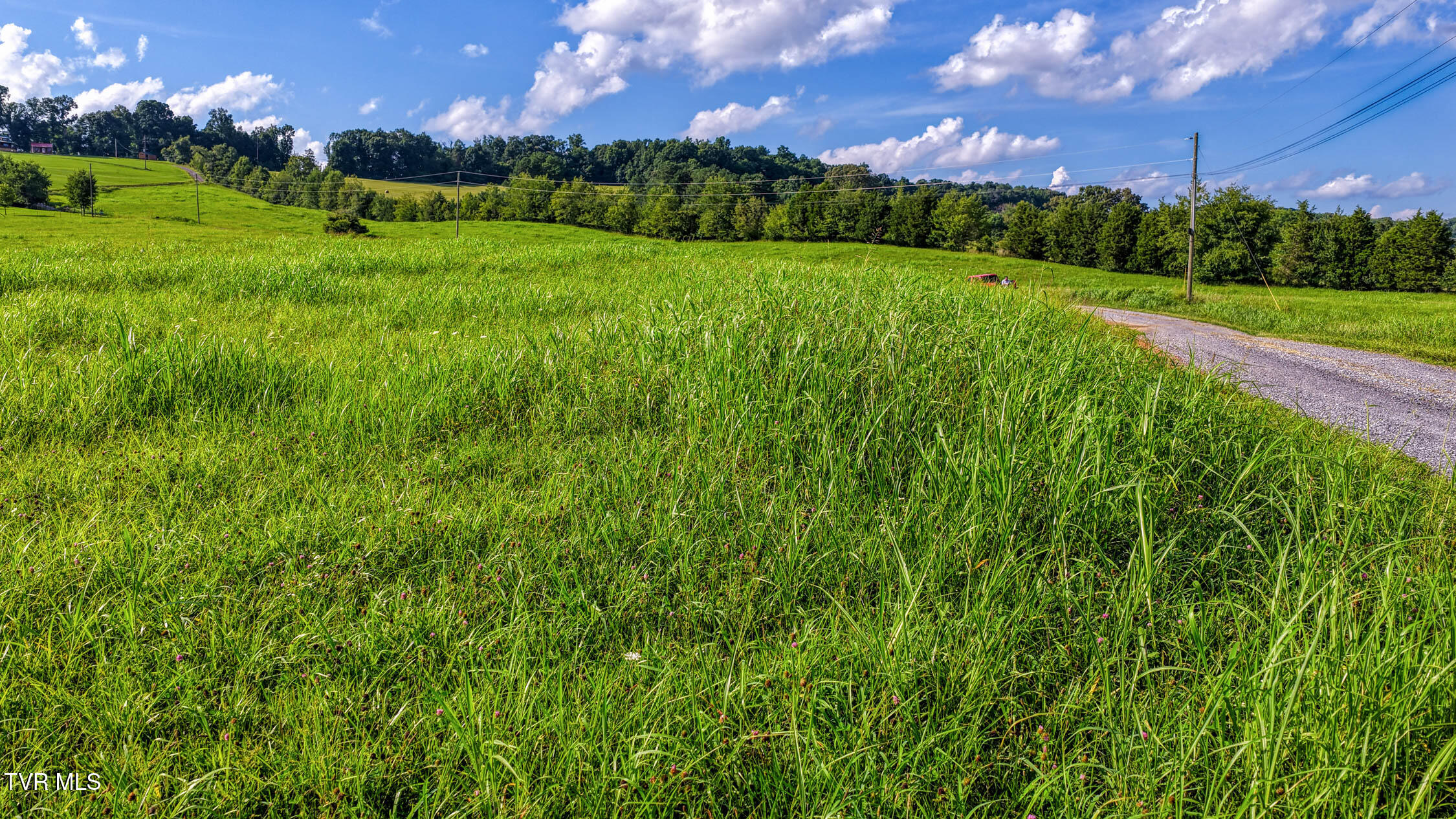 Tbd Walnut Rdg Way Rogersville, TN 37857 - Photo 8 of 31 Burem. Rog MLSa (5 of 31)