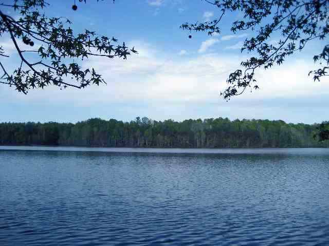 290 Hickory Hollow Road Inman, SC 29349 - Photo 1 of 2