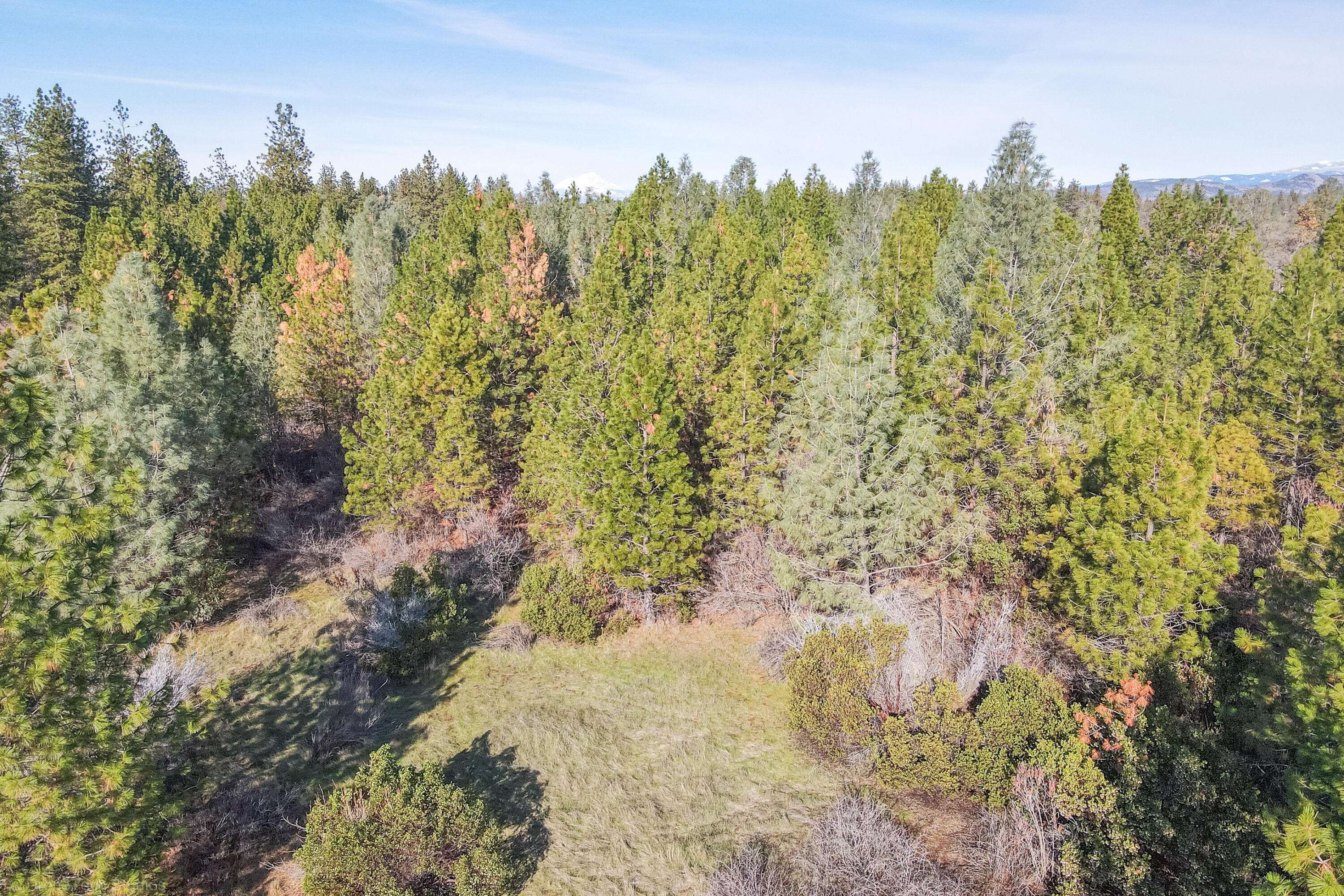 Lot 9 Moraine Way Shingletown, CA 96088 - Photo 1 of 31 a view of a forest with trees in the background