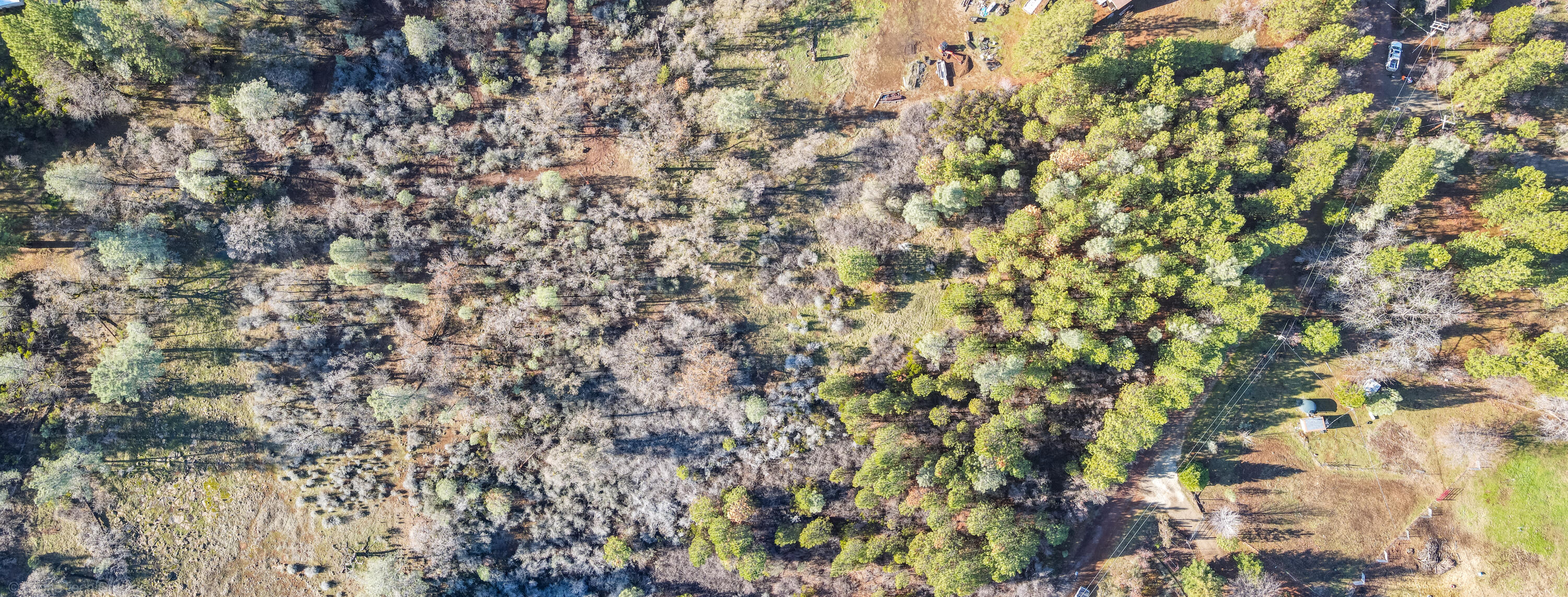 Lot 9 Moraine Way Shingletown, CA 96088 - Photo 23 of 31