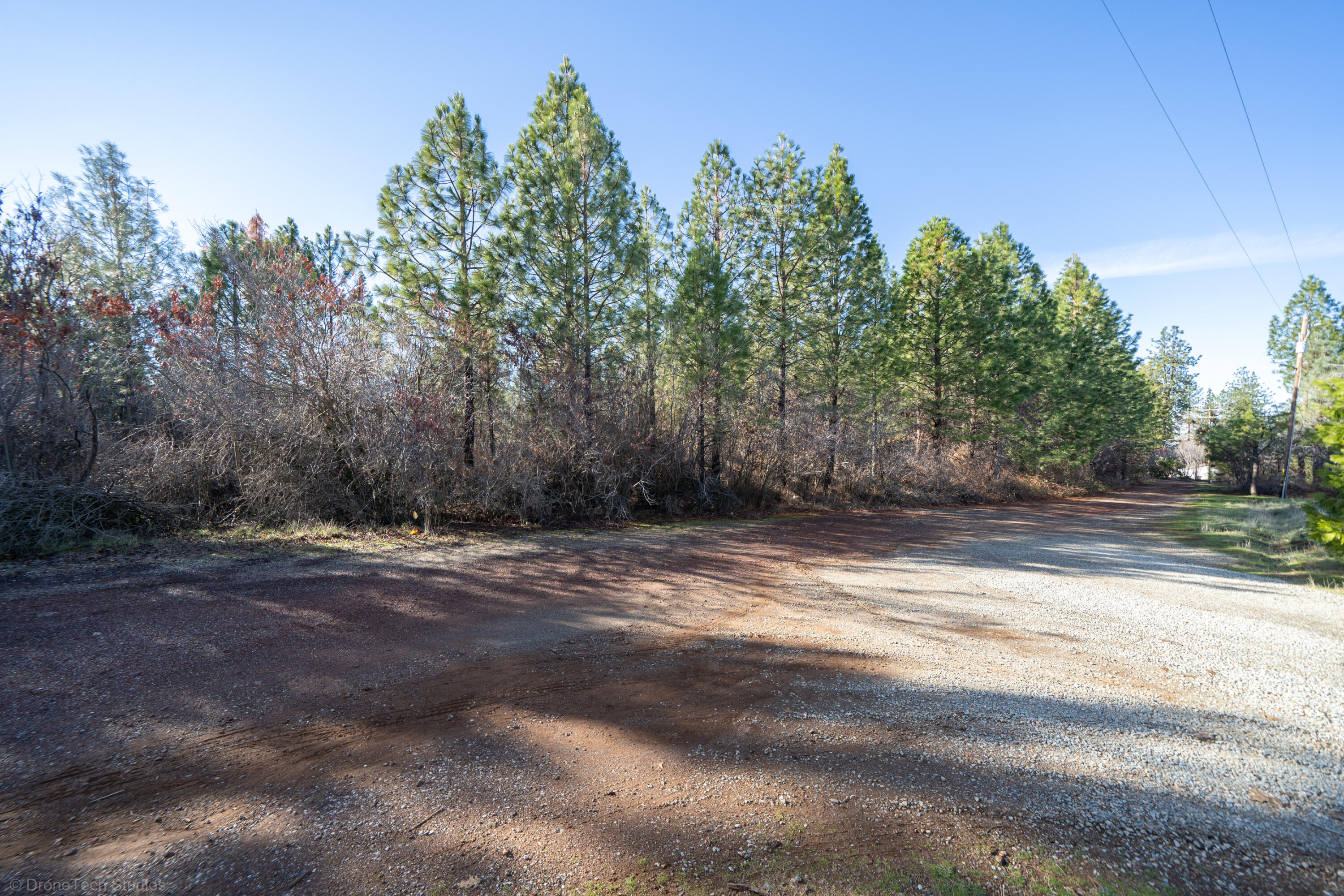 Lot 9 Moraine Way Shingletown, CA 96088 - Photo 24 of 31 a view of a yard with large trees