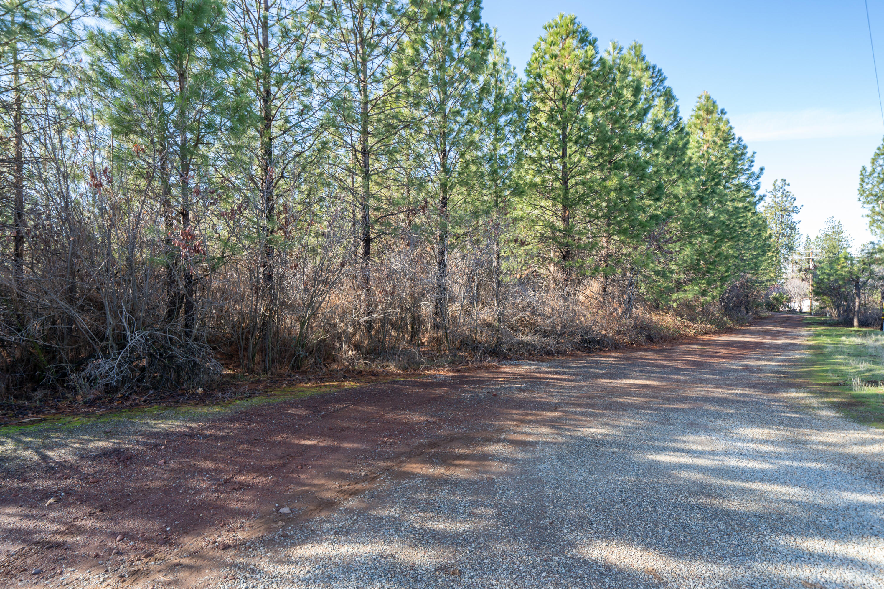 Lot 9 Moraine Way Shingletown, CA 96088 - Photo 25 of 31 a view of outdoor space with trees