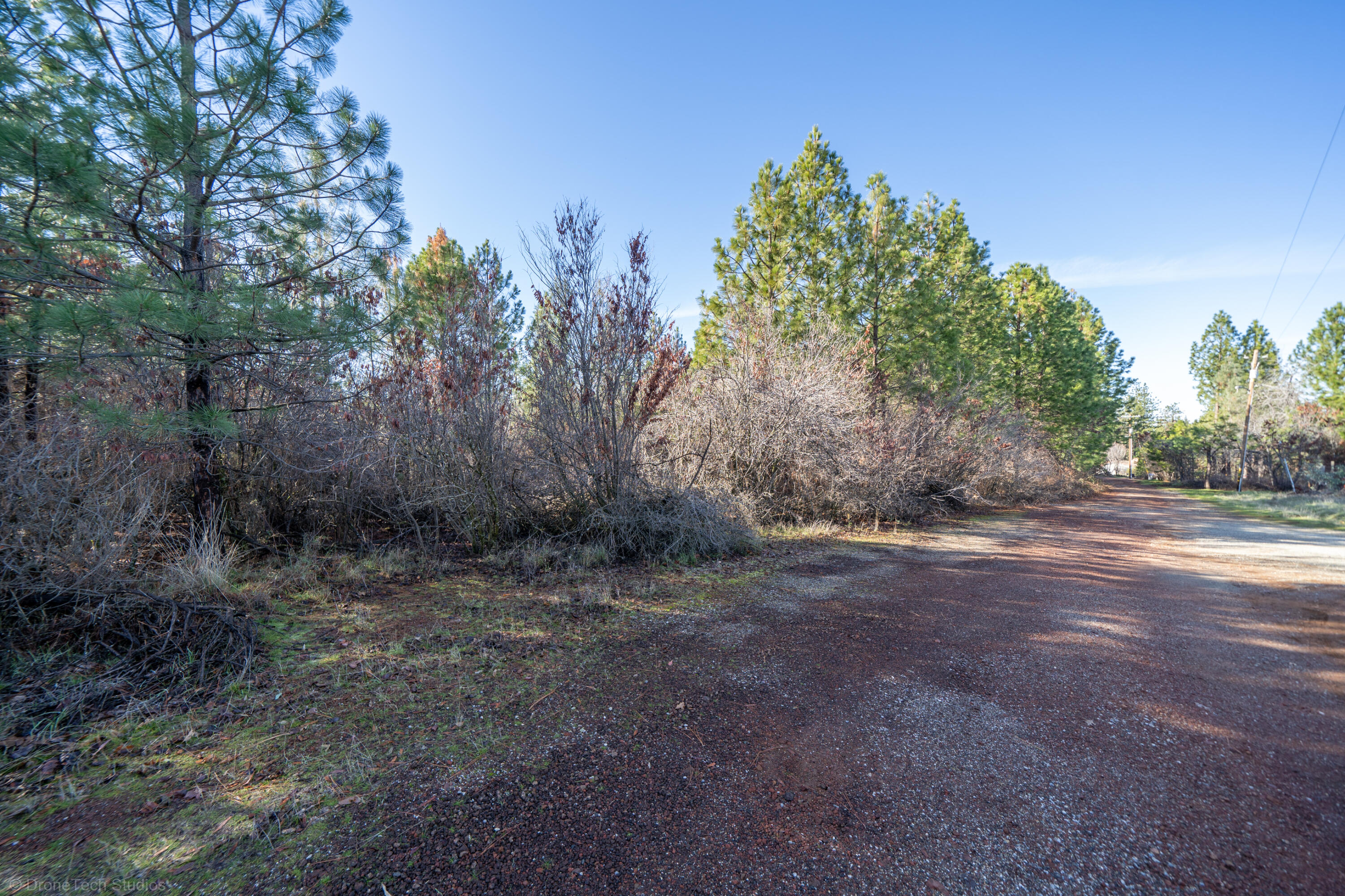 Lot 9 Moraine Way Shingletown, CA 96088 - Photo 26 of 31 a view of a yard with large trees