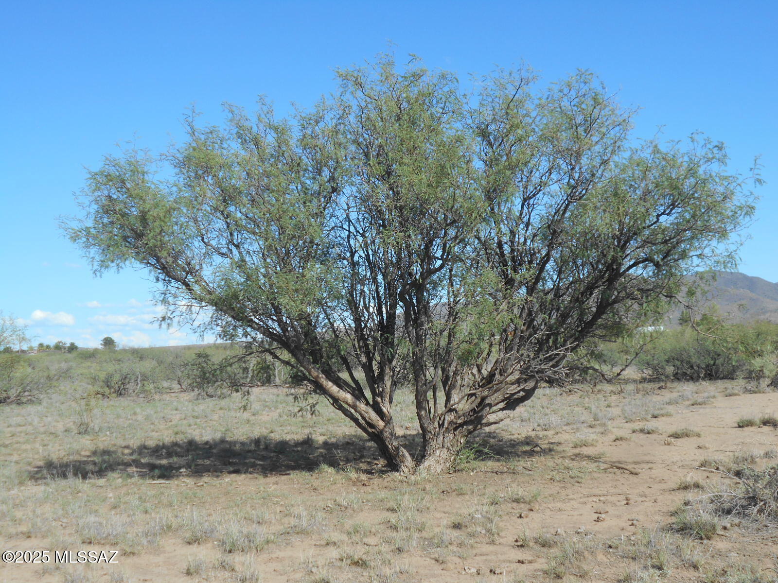 36.8-acres West Old Stewart Road, Unit 53 Willcox, AZ 85643 - Photo 11 of 42