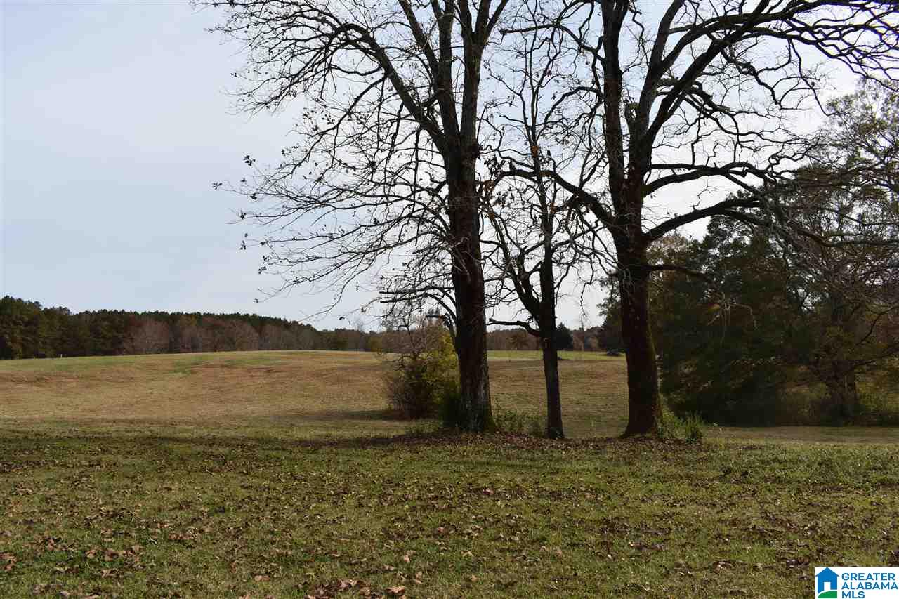 Poplar Loop, Unit 2 Calera, AL 35040 - Photo 4 of 18
