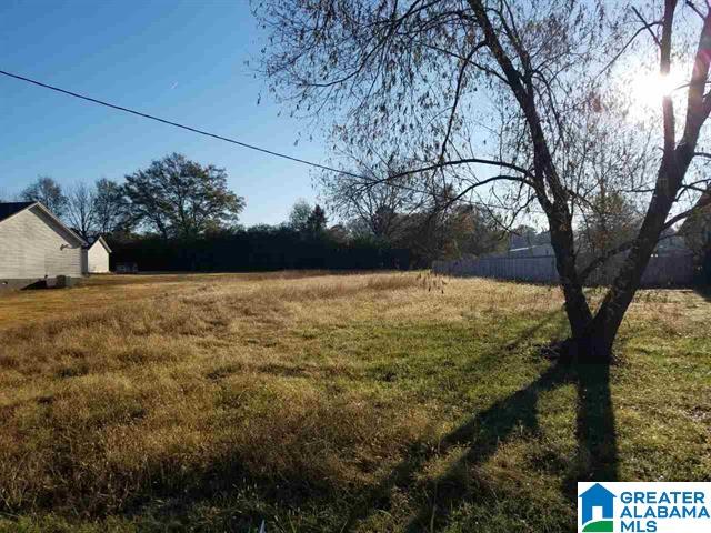 62 Lee Ridge Drive Altoona, AL 35952 - Photo 4 of 5