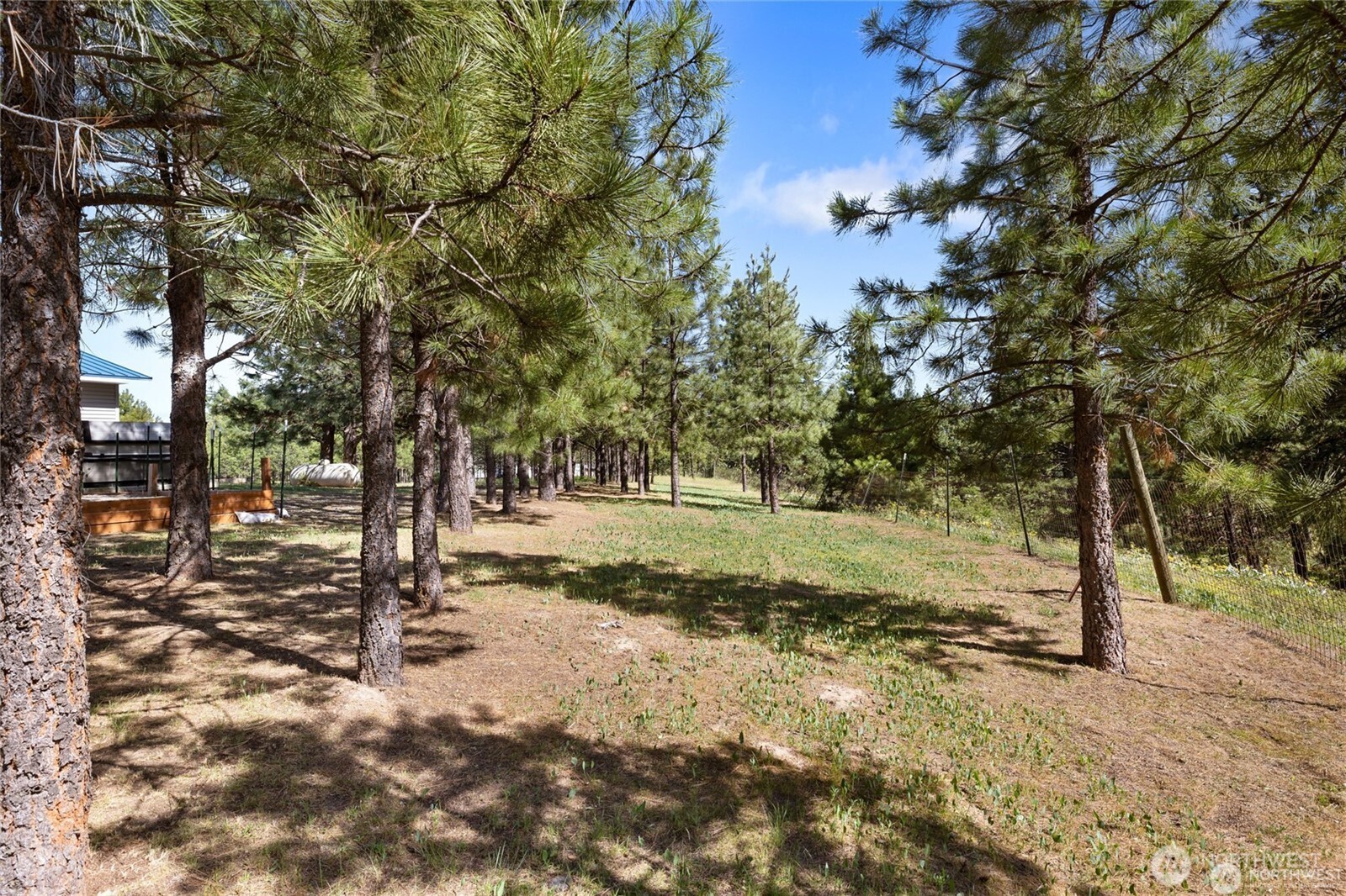 250 Danko Road Cle Elum, WA 98922 - Photo 19 of 38 a view of a tree in the middle of a yard