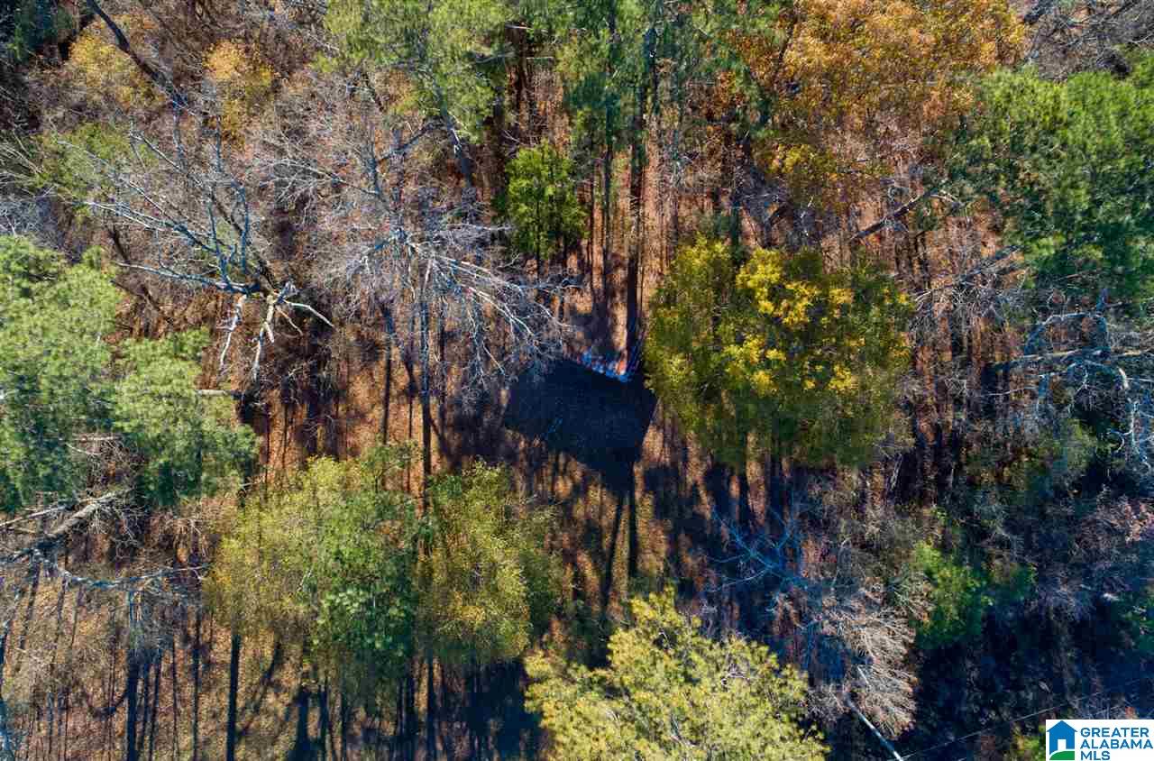 7235 Comer Dairy Road Morris, AL 35116 - Photo 30 of 37