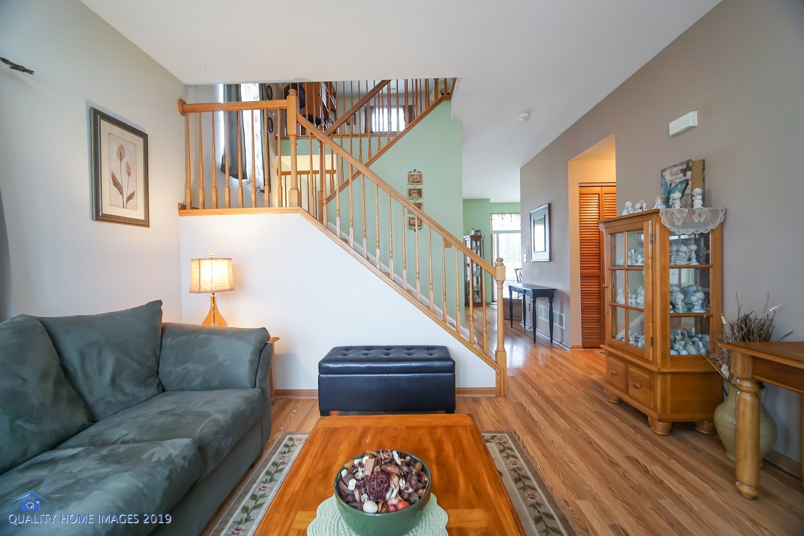 339 Reston Circle Romeoville, IL 60446 - Photo 5 of 26 a living room with furniture and a rug