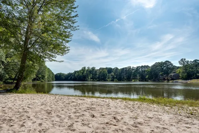a view of a lake with a large trees