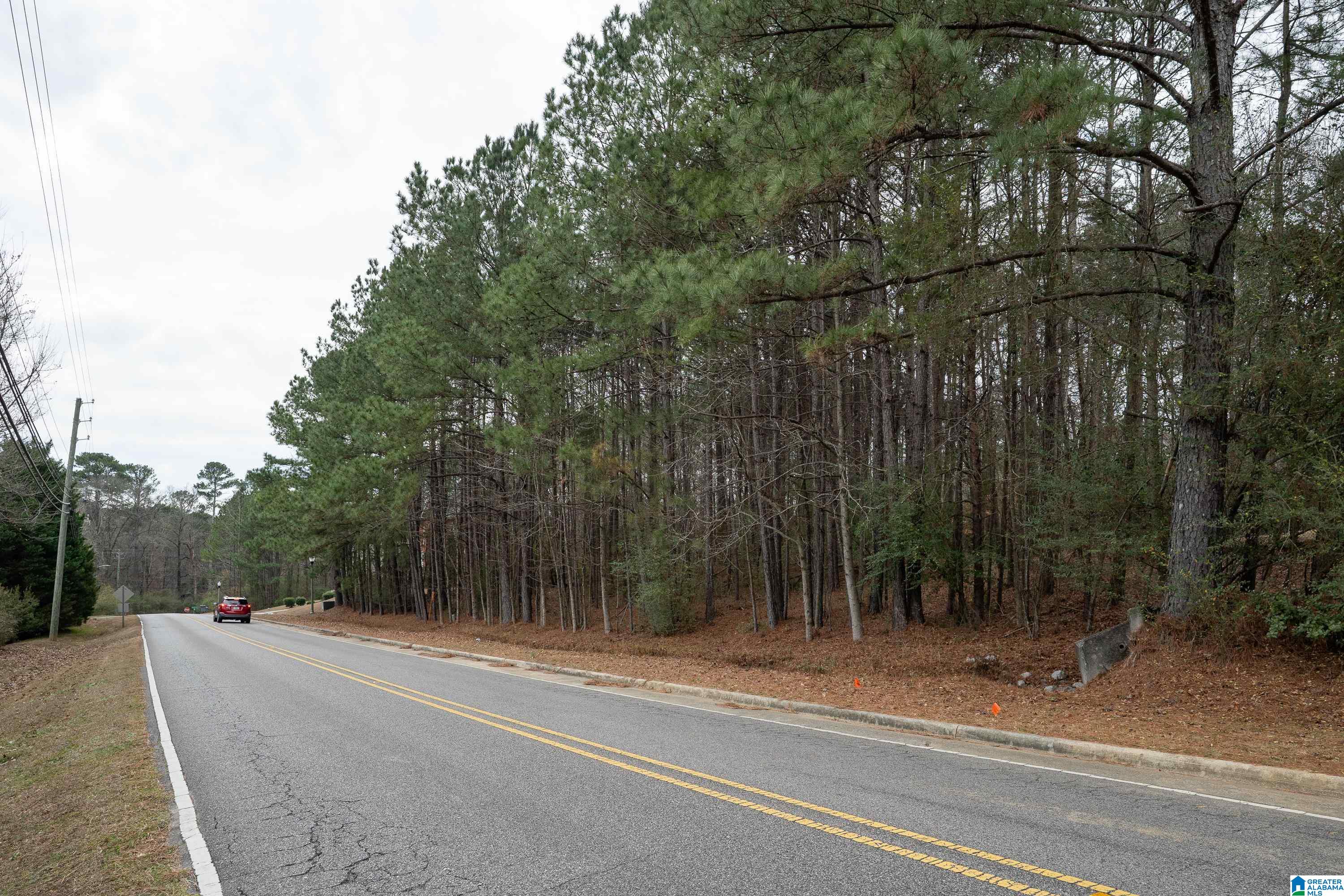 3874 Belmont Road, Unit 5 & 6 Birmingham, AL 35210 - Photo 13 of 15