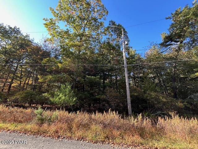 Lot 247 Squirrel Road Dingmans Ferry, PA 18328 - Photo 6 of 10