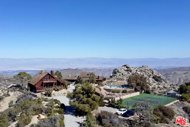 a view of a lot of trees and a mountain