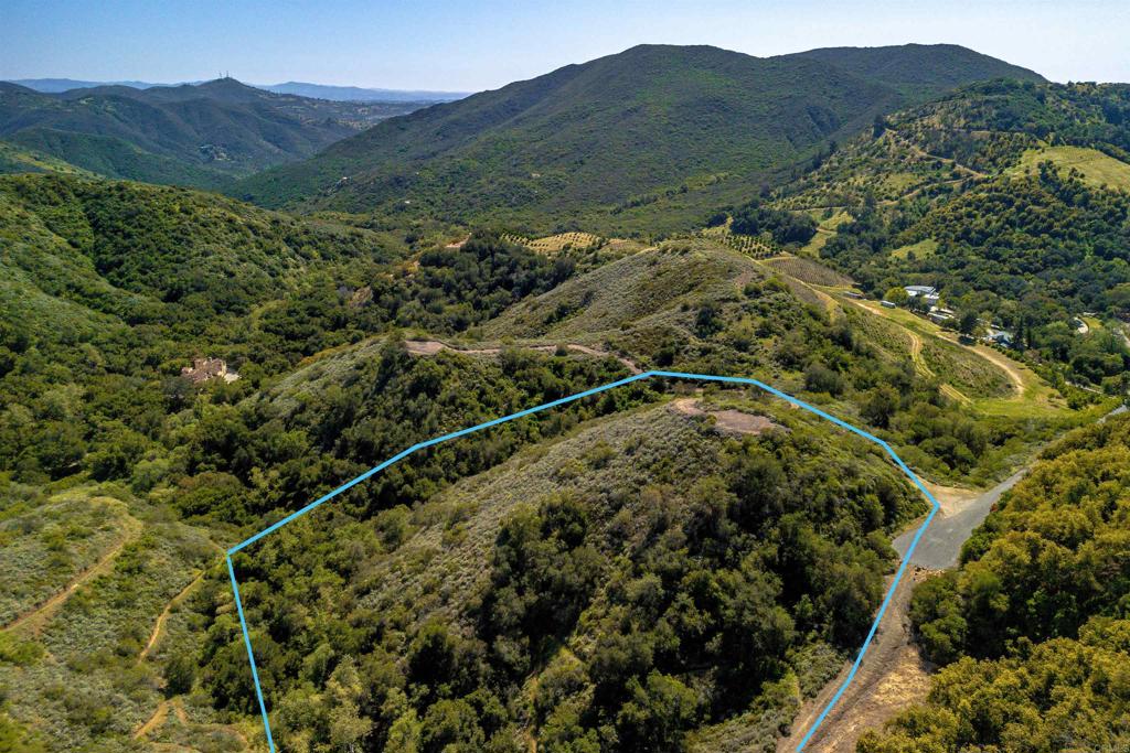 11 Calle Cresta Road Temecula, CA 92590 - Photo 13 of 16 a view of a forest with a mountain